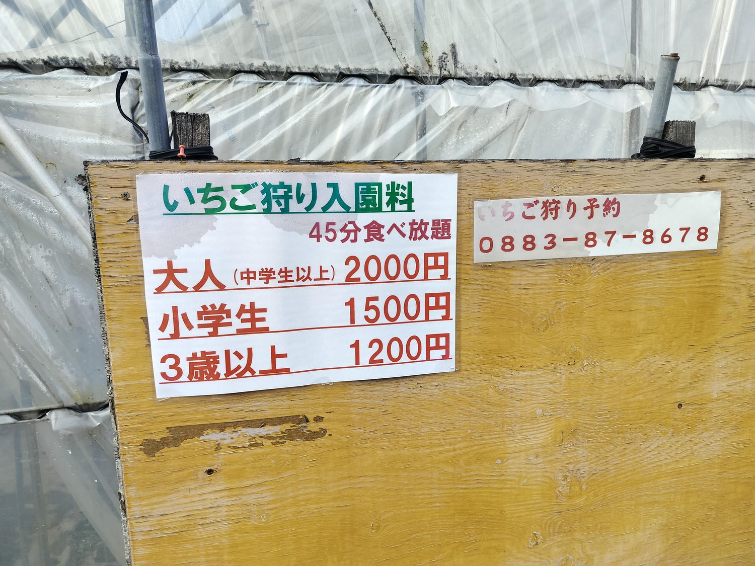 2024四國酒祭┃四縣百款酒 四國最大酒祭套票3千日幣不限時不限杯 德島自由行JR阿波池田站接駁車 JR江口站採草莓 - 第45張圖 2024四國酒祭┃四縣百款酒 四國最大酒祭套票3千日幣不限時不限杯 德島自由行JR阿波池田站接駁車 JR江口站採草莓