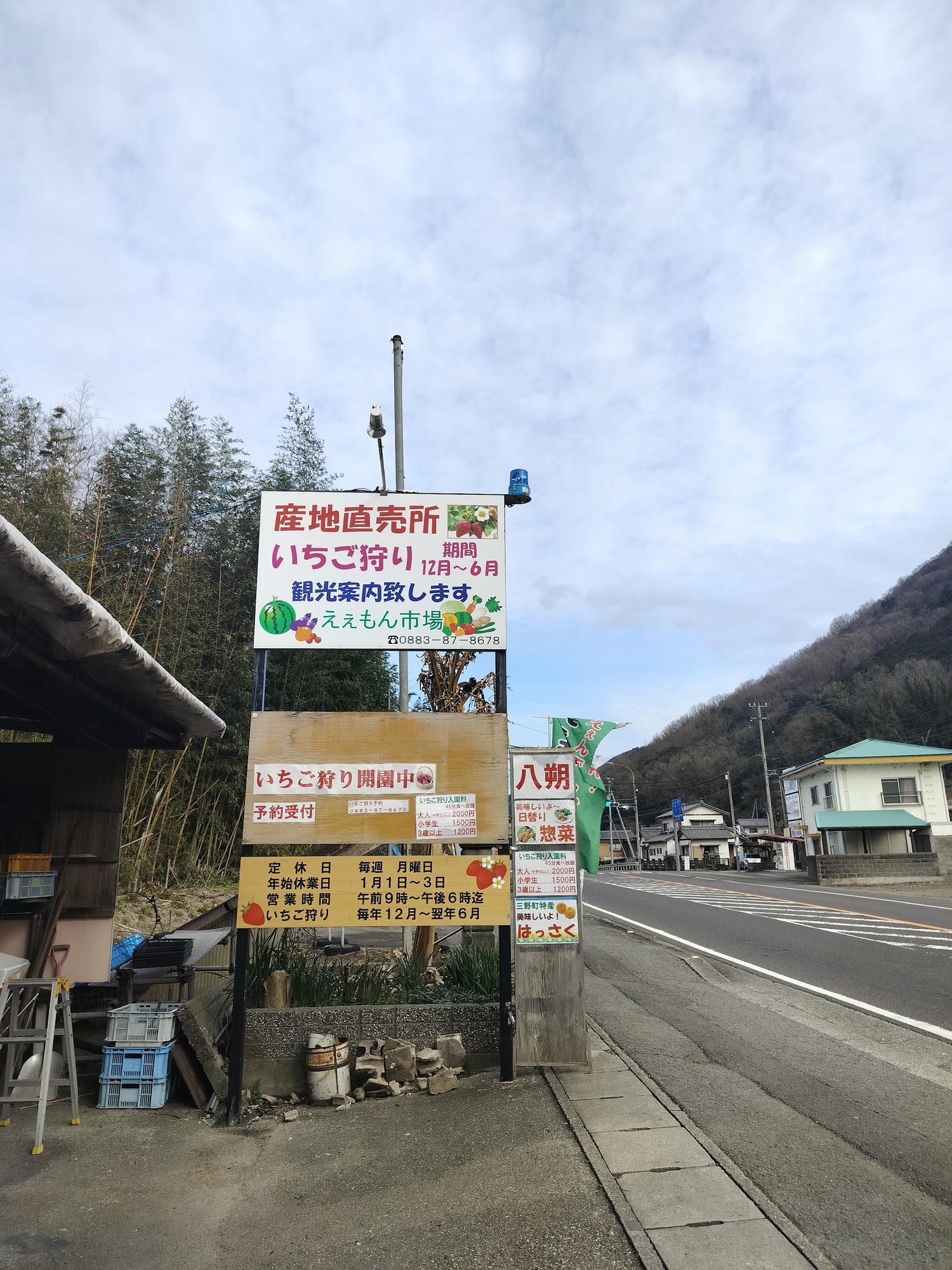 2024四國酒祭┃四縣百款酒 四國最大酒祭套票3千日幣不限時不限杯 德島自由行JR阿波池田站接駁車 JR江口站採草莓 - 第57張圖 2024四國酒祭┃四縣百款酒 四國最大酒祭套票3千日幣不限時不限杯 德島自由行JR阿波池田站接駁車 JR江口站採草莓