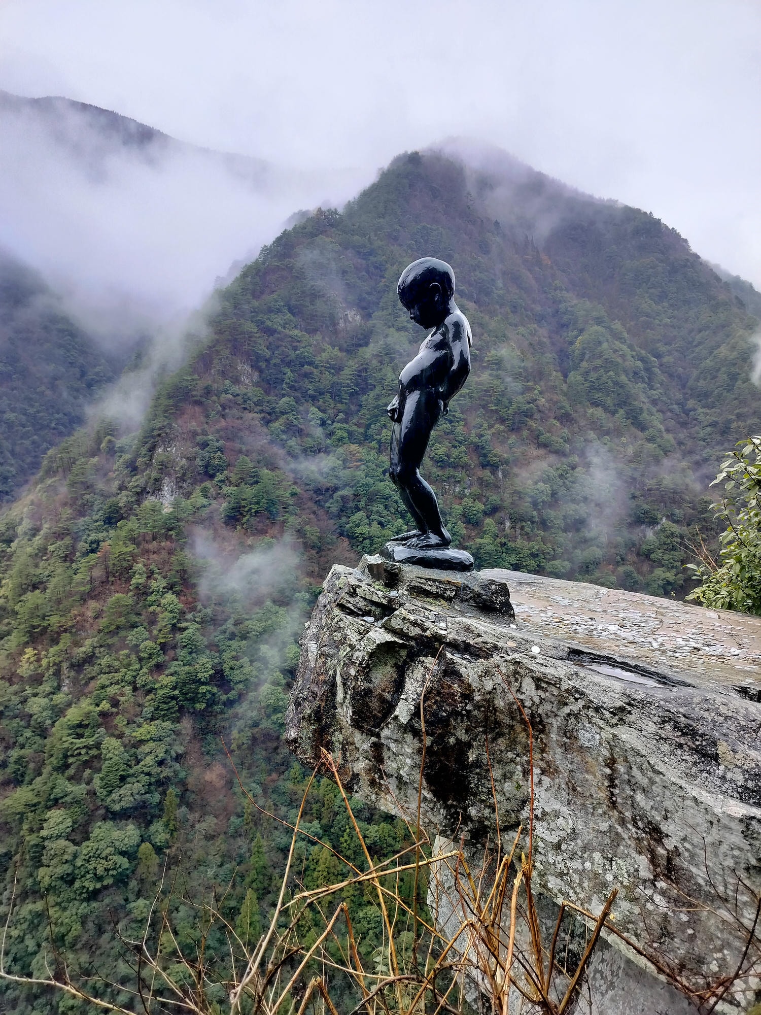 德島景點┃德島自由行 秘境奧祖谷賞楓 自駕景點整理「二重葛藤橋 落合集落 天空稻草人村 尿尿小童 龍宮崖公園」