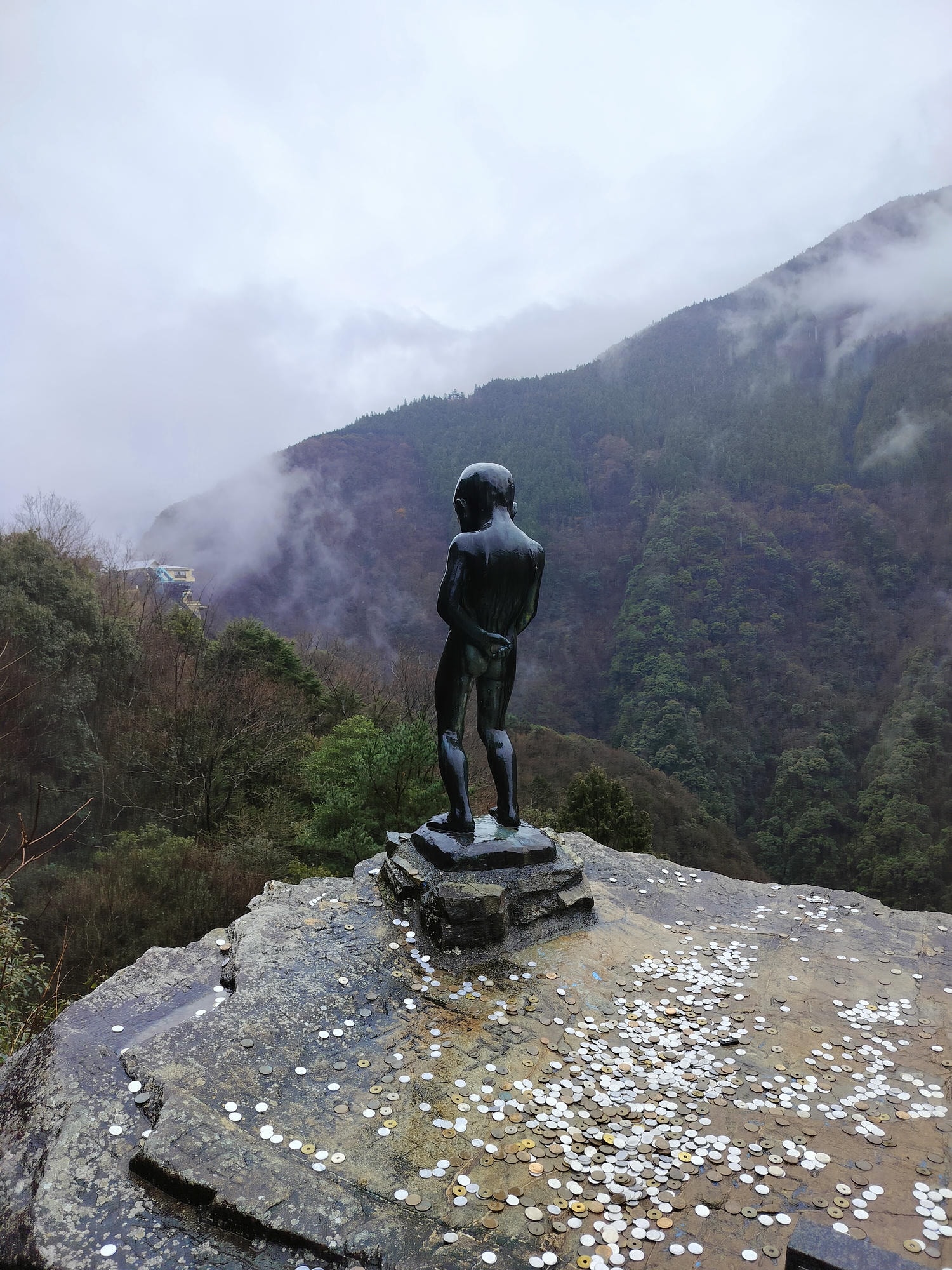 德島景點┃德島自由行 秘境奧祖谷賞楓 自駕景點整理「二重葛藤橋 落合集落 天空稻草人村 尿尿小童 龍宮崖公園」