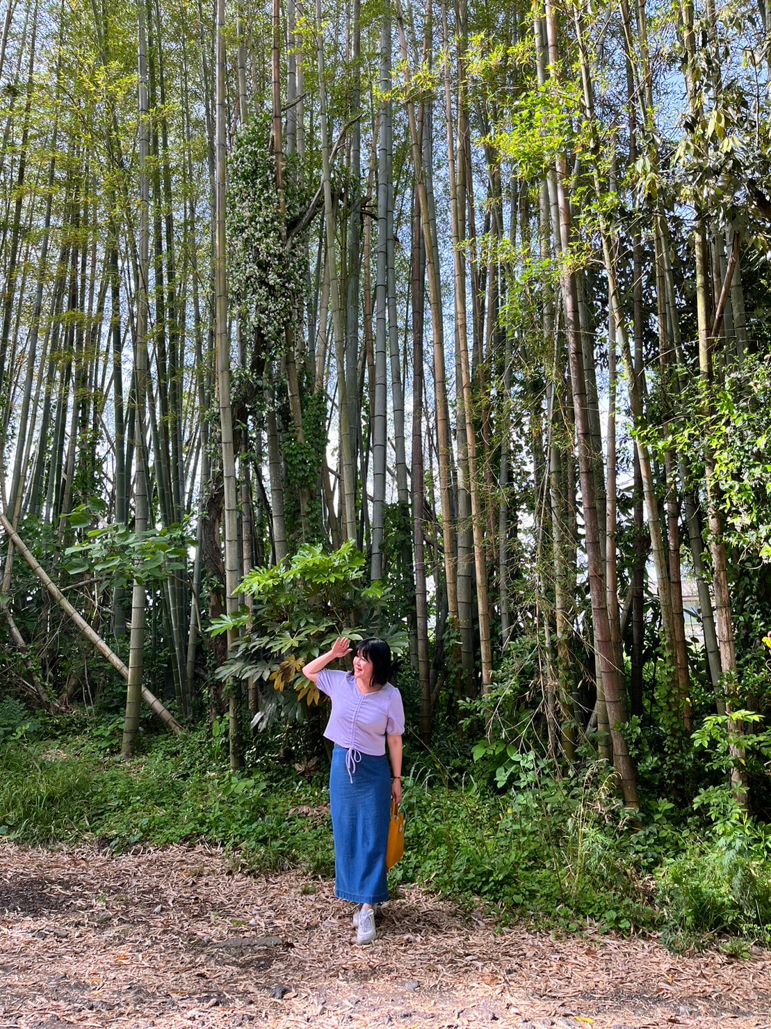 熊本景點┃阿蘇自由行 阿蘇神社(2024開放) 門前町商店街 丹波屋花布水占卜籤 阿蘇牛奶泡芙 古物店 JR宮地站步行可達 - 第43張圖 熊本景點┃阿蘇自由行 阿蘇神社(2024開放) 門前町商店街 丹波屋花布水占卜籤 阿蘇牛奶泡芙 古物店 JR宮地站步行可達