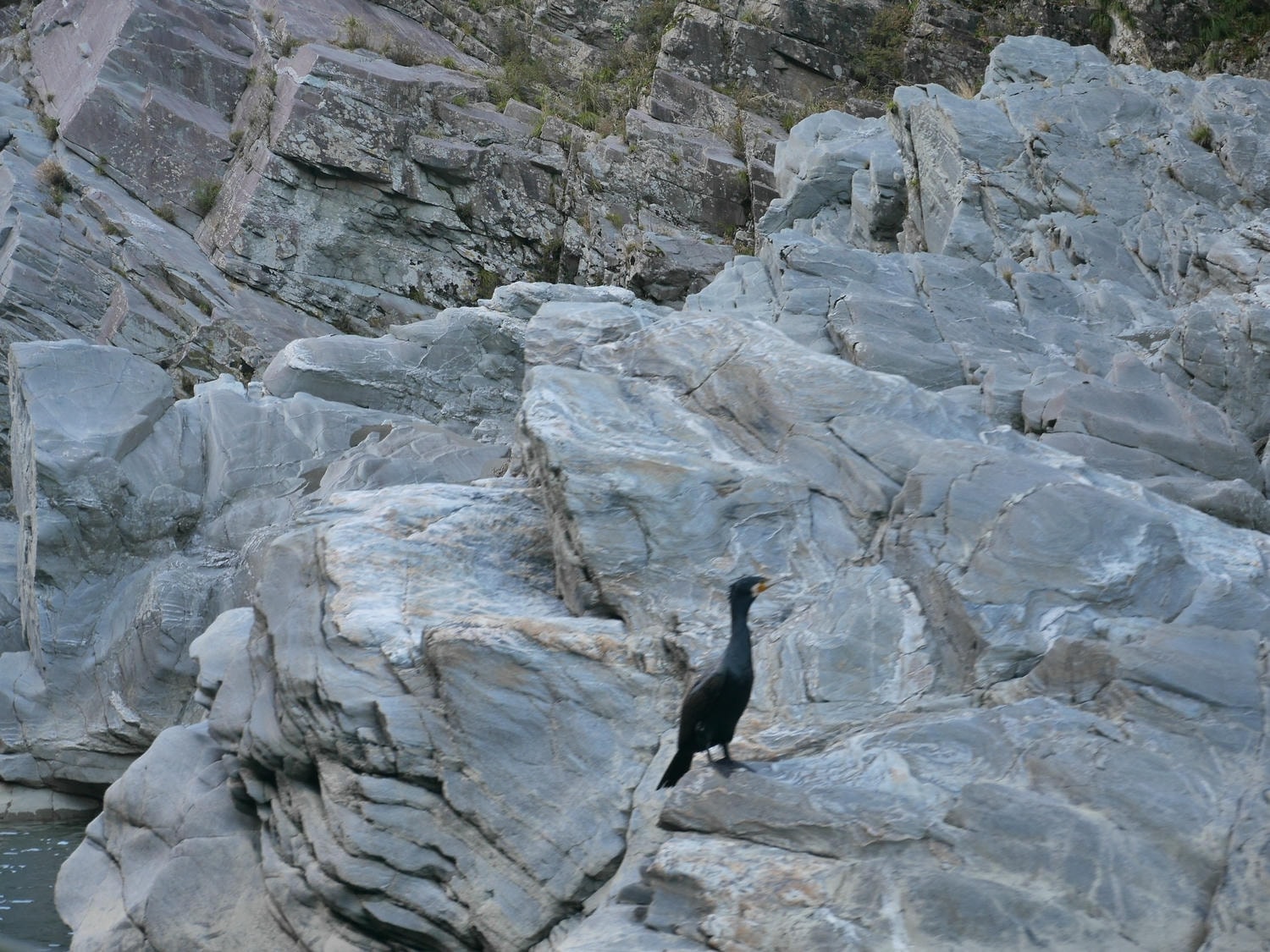 德島住宿┃祖谷秘境全新大步危峽曼納卡溫泉飯店(Hotel Obokekyo Mannaka)JR大步危站 大步危遊覽船 德島自由行