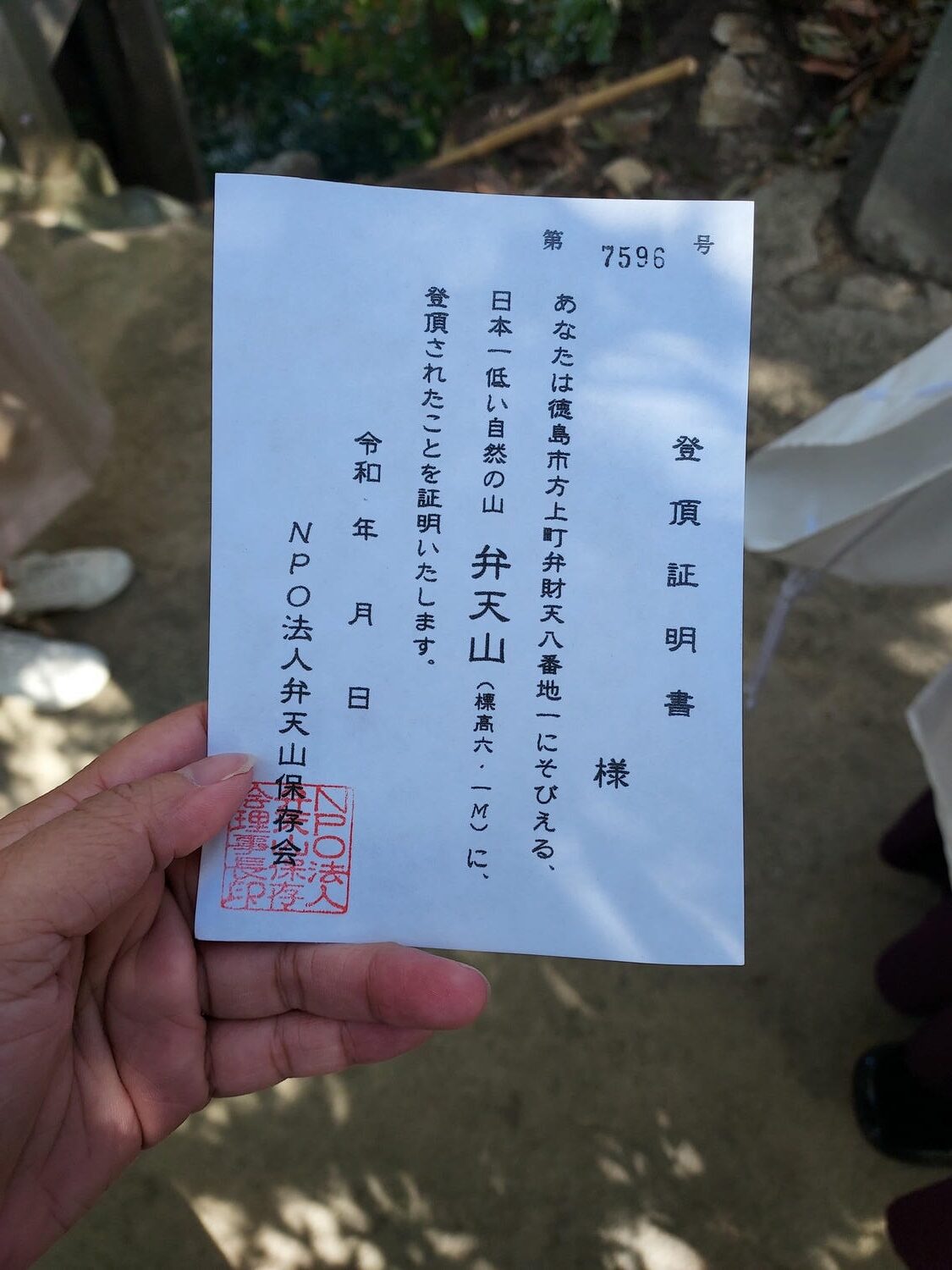 四國德島┃星宇航空包機直飛德島全記錄 仙境勝浦町賞櫻 最矮弁天山登頂 DMV鐵道路兩用車 爆買大野海苔