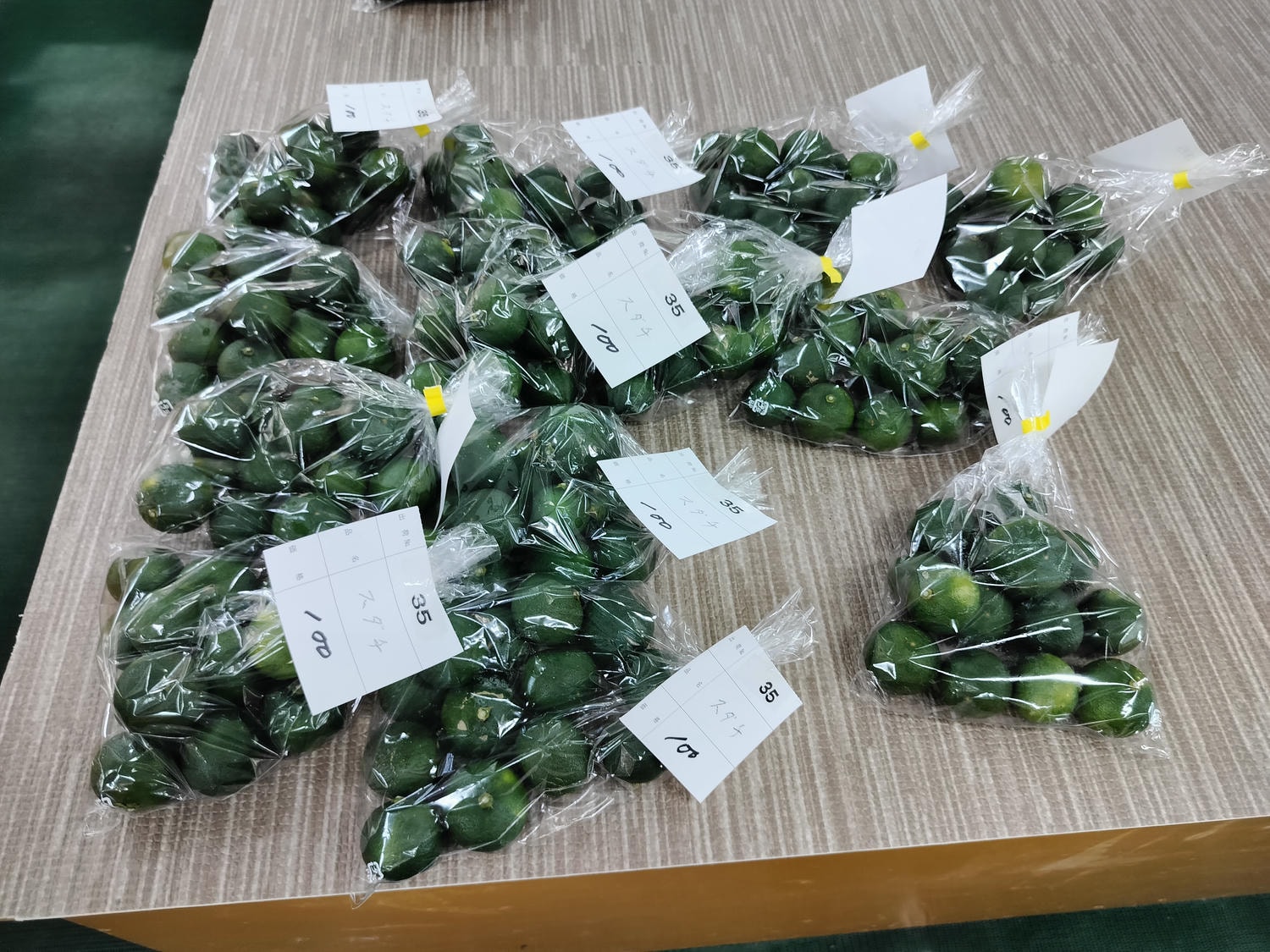 德島景點┃日本最矮天然山「弁天山」標高6.1公尺 30步完美攻頂 日本國土地理院認證! 山頂神社多款御朱印 登頂證明入手 - 第12張圖 德島景點┃日本最矮天然山「弁天山」標高6.1公尺 30步完美攻頂 日本國土地理院認證! 山頂神社多款御朱印 登頂證明入手