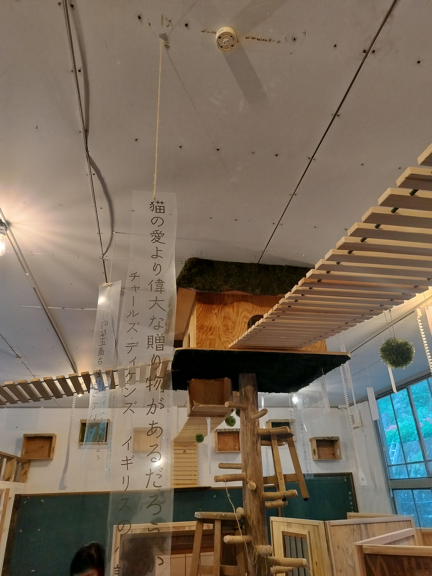 德島祖谷秘境咖啡┃與貓共存小學廢校活用Haretoke cafe咖啡辦公 Guest House青旅住宿 ハレとケ珈琲地方創生 - 第24張圖 德島祖谷秘境咖啡┃與貓共存小學廢校活用Haretoke cafe咖啡辦公 Guest House青旅住宿 ハレとケ珈琲地方創生