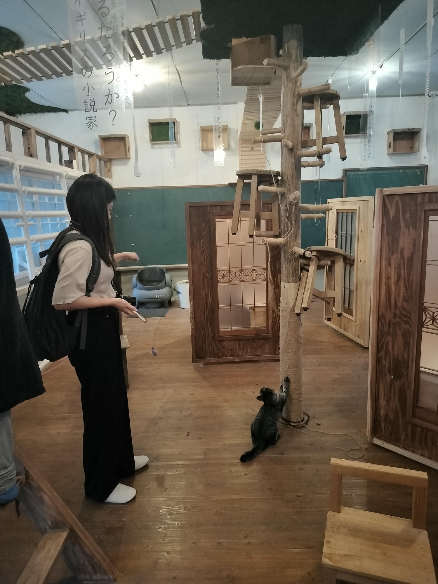 德島祖谷秘境咖啡┃與貓共存小學廢校活用Haretoke cafe咖啡辦公 Guest House青旅住宿 ハレとケ珈琲地方創生 - 第25張圖 德島祖谷秘境咖啡┃與貓共存小學廢校活用Haretoke cafe咖啡辦公 Guest House青旅住宿 ハレとケ珈琲地方創生