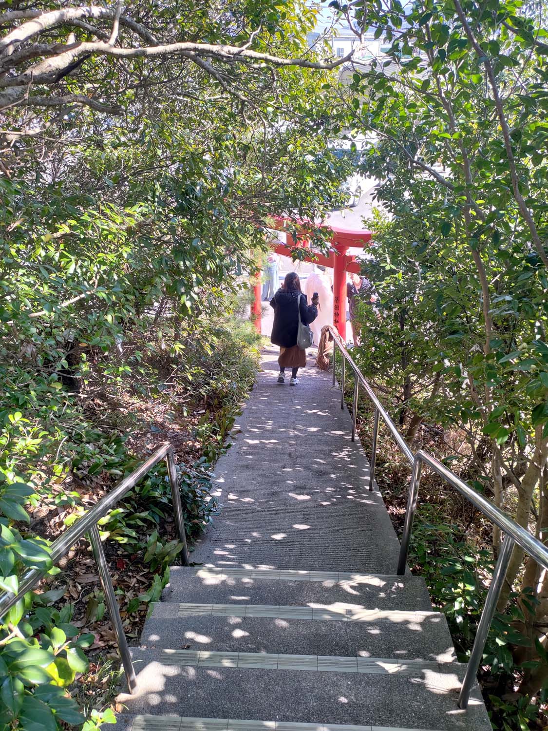 德島景點┃日本最矮天然山「弁天山」標高6.1公尺 30步完美攻頂 日本國土地理院認證! 山頂神社多款御朱印 登頂證明入手 - 第23張圖 德島景點┃日本最矮天然山「弁天山」標高6.1公尺 30步完美攻頂 日本國土地理院認證! 山頂神社多款御朱印 登頂證明入手