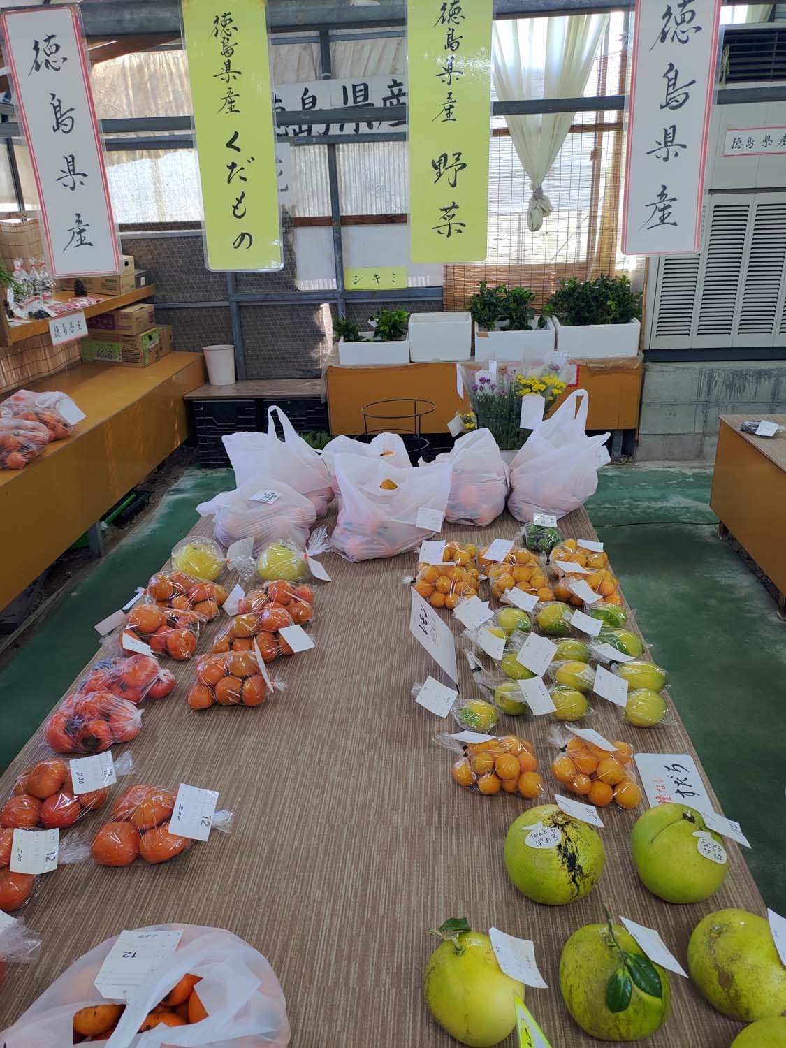 德島景點┃日本最矮天然山「弁天山」標高6.1公尺 30步完美攻頂 日本國土地理院認證! 山頂神社多款御朱印 登頂證明入手 - 第25張圖 德島景點┃日本最矮天然山「弁天山」標高6.1公尺 30步完美攻頂 日本國土地理院認證! 山頂神社多款御朱印 登頂證明入手