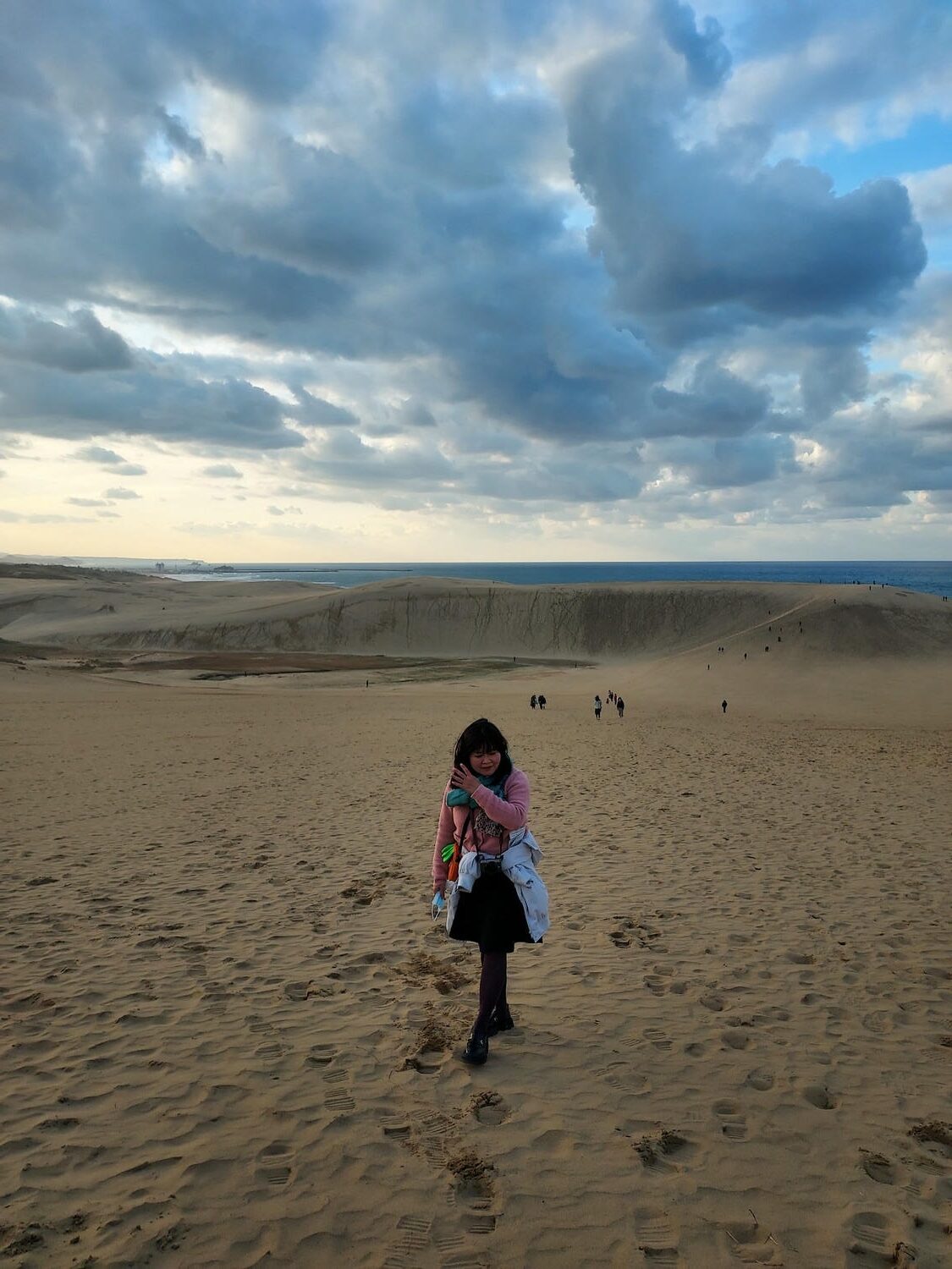 鳥取景點┃砂丘中心見晴之丘吃飯 搭吊椅展望砂丘 隈研吾建築Takahama Cafe高濱咖啡廳 鳥取自由行LISA駱駝