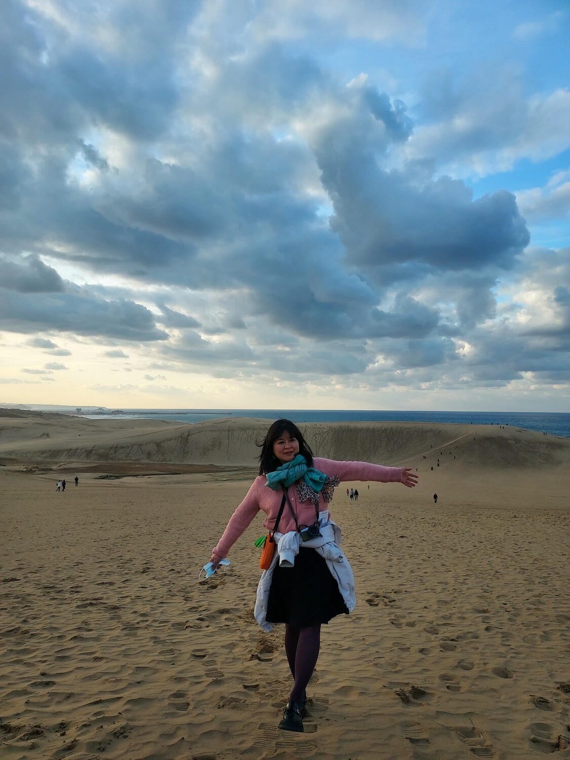 鳥取景點┃砂丘中心見晴之丘吃飯 搭吊椅展望砂丘 隈研吾建築Takahama Cafe高濱咖啡廳 鳥取自由行LISA駱駝