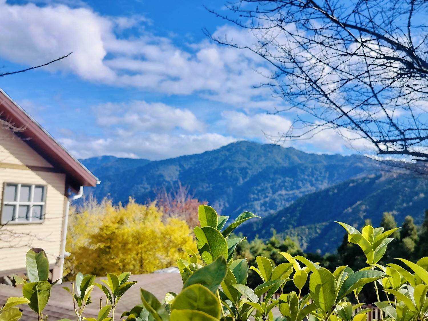 新竹住宿┃標高近2千!雪霸休閒農場住小木屋 冬季雲海一泊三食 手作藍莓果醬 台湾農場宿泊