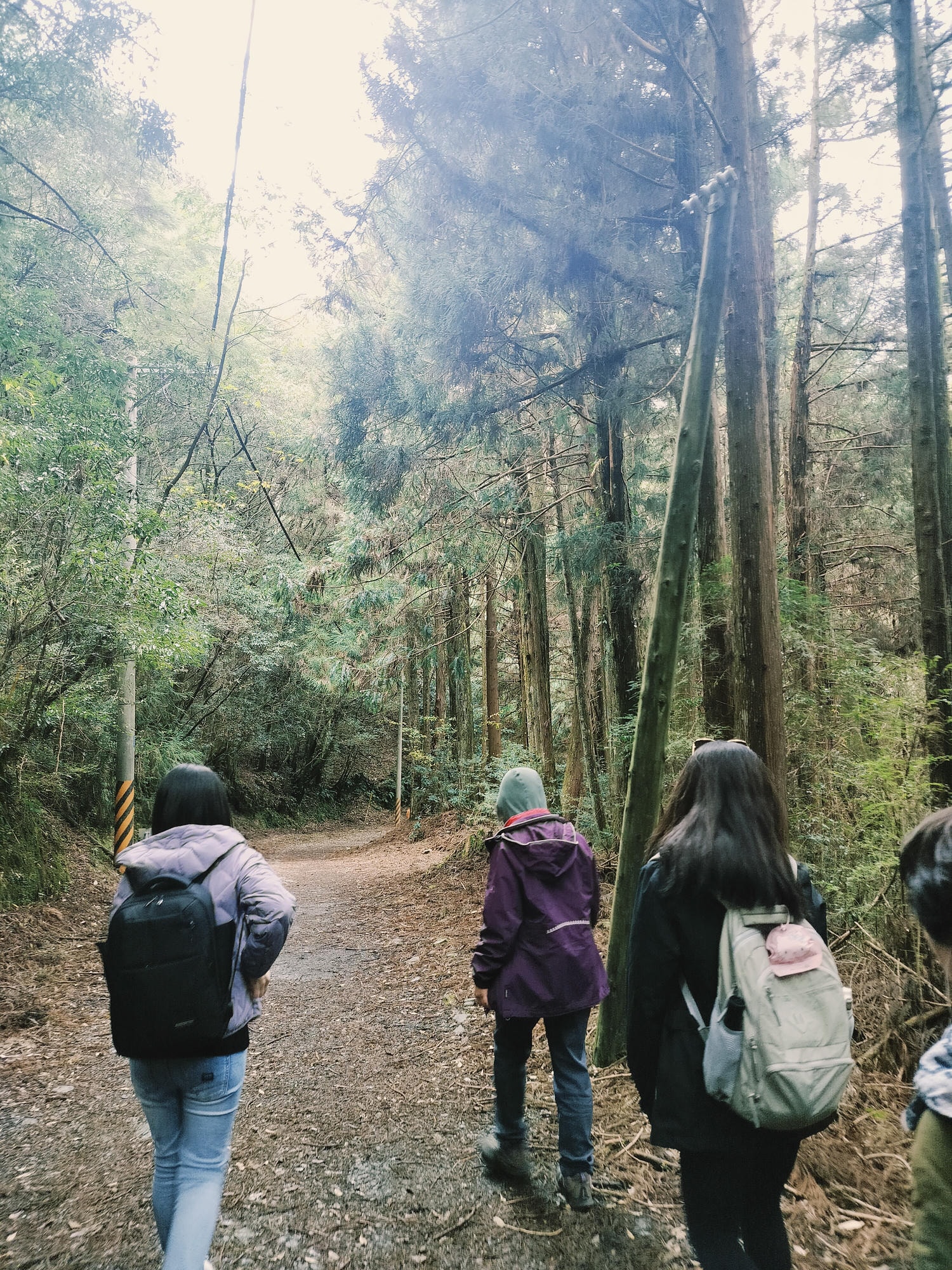 新竹住宿┃標高近2千!雪霸休閒農場住小木屋 冬季雲海一泊三食 手作藍莓果醬 台湾農場宿泊