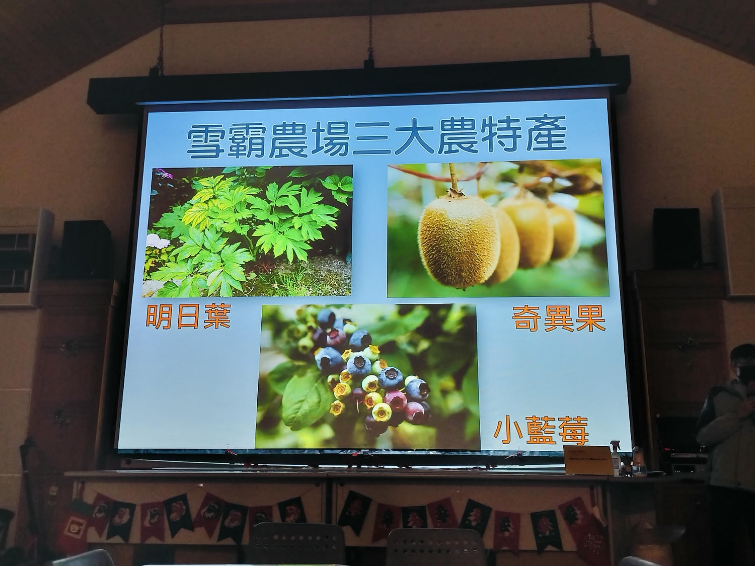 新竹住宿┃標高近2千!雪霸休閒農場住小木屋 冬季雲海一泊三食 手作藍莓果醬 台湾農場宿泊