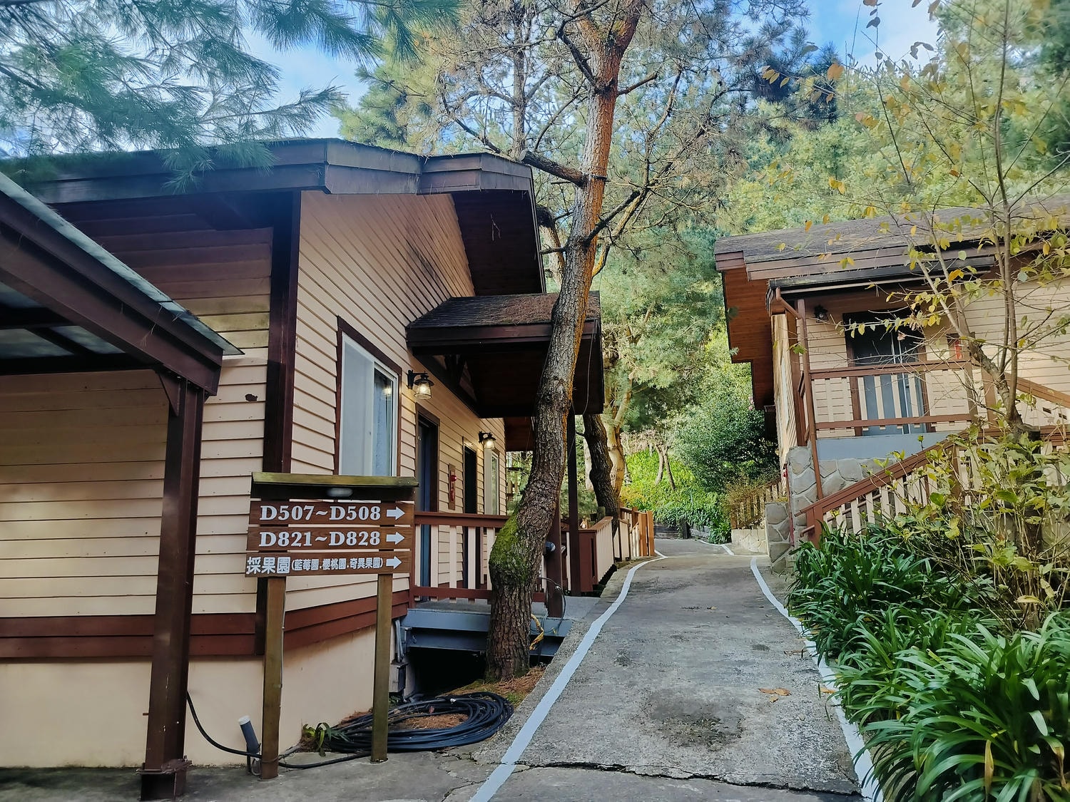新竹住宿┃標高近2千!雪霸休閒農場住小木屋 冬季雲海一泊三食 手作藍莓果醬 台湾農場宿泊