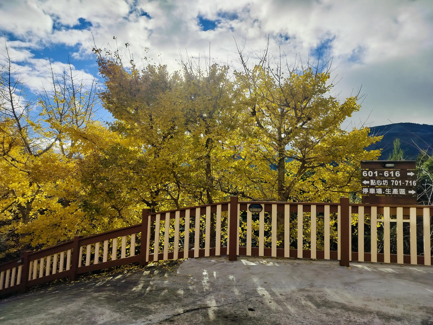 基隆市┃海科館旁「潮境公園」飛天掃帚 巨石相框 海景超美 露天咖啡炸物 洗手間停車場 - 第31張圖 基隆市┃海科館旁「潮境公園」飛天掃帚 巨石相框 海景超美 露天咖啡炸物 洗手間停車場