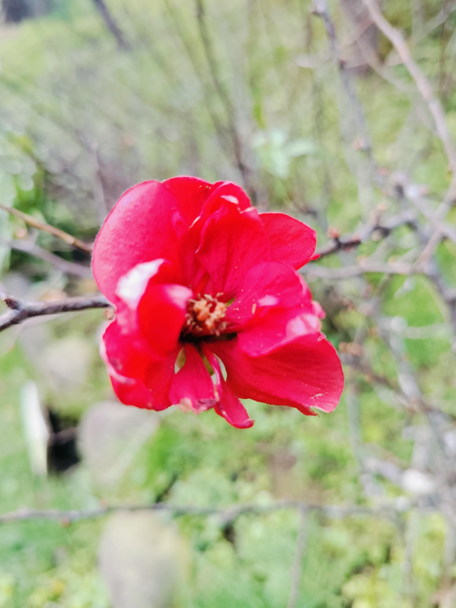 新竹住宿┃標高近2千!雪霸休閒農場住小木屋 冬季雲海一泊三食 手作藍莓果醬 台湾農場宿泊