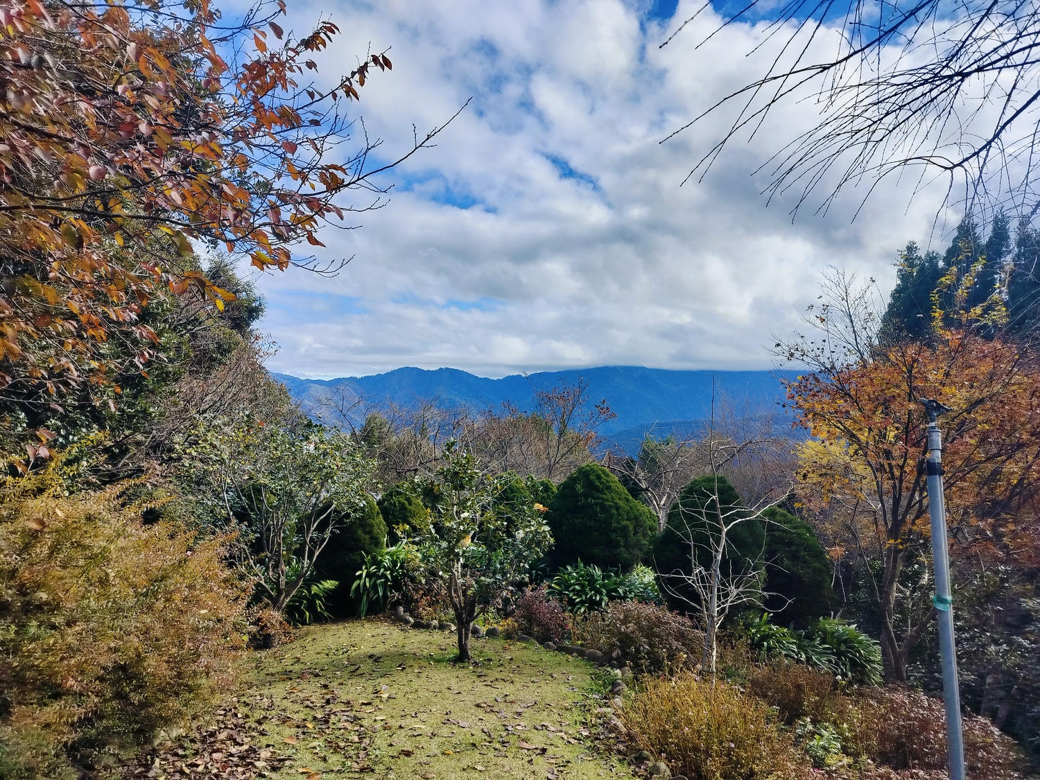 新竹住宿┃標高近2千!雪霸休閒農場住小木屋 冬季雲海一泊三食 手作藍莓果醬 台湾農場宿泊