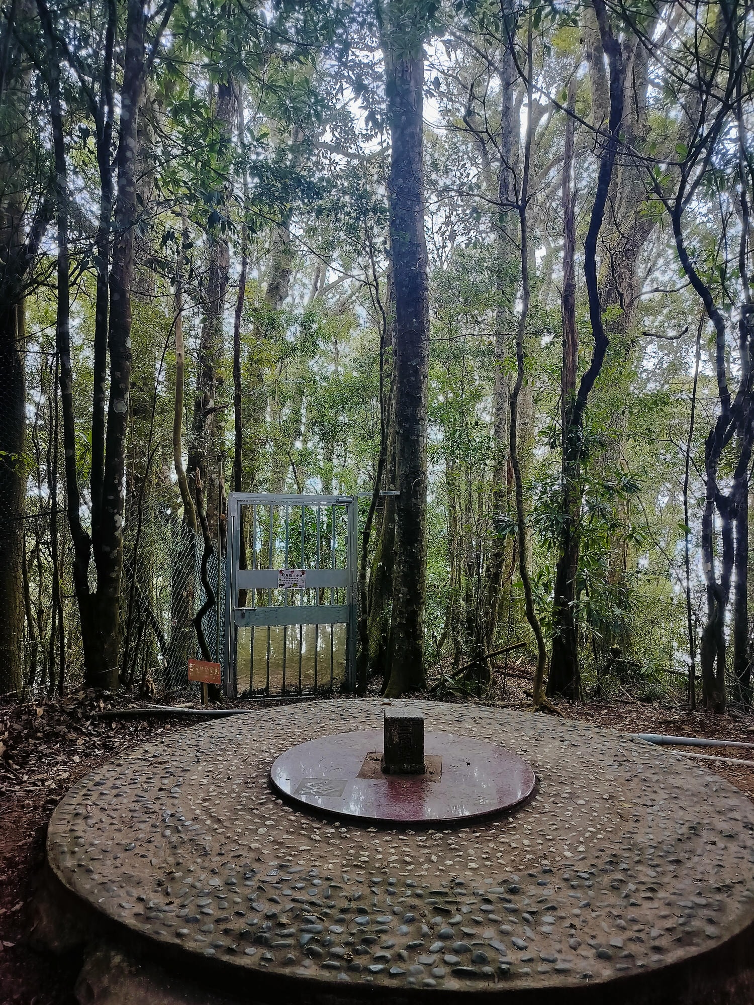 新竹住宿┃標高近2千!雪霸休閒農場住小木屋 冬季雲海一泊三食 手作藍莓果醬 台湾農場宿泊