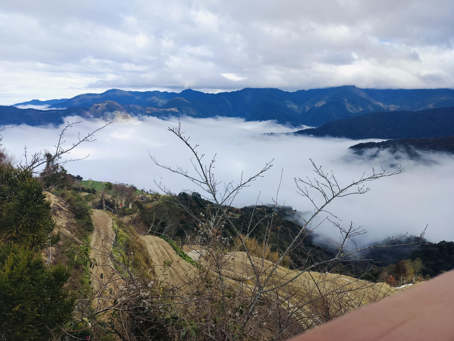 新竹住宿┃標高近2千!雪霸休閒農場住小木屋 冬季雲海一泊三食 手作藍莓果醬 台湾農場宿泊