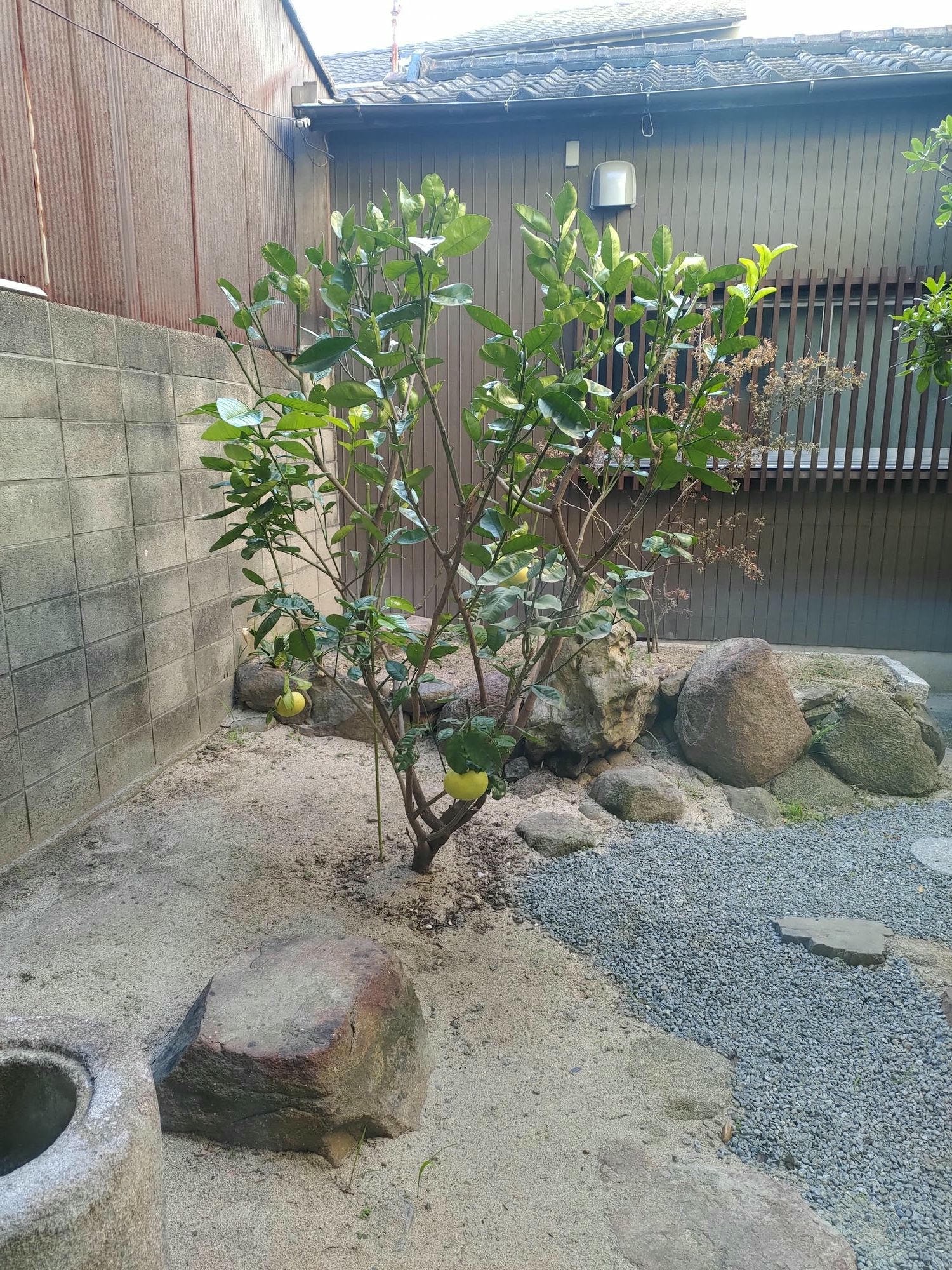 香川高松住宿┃JR四國直營Setolive 4S STAY古民家住宿 文青列車元素(2024新開) JR高松走10分 瀨戶藝術祭住宿