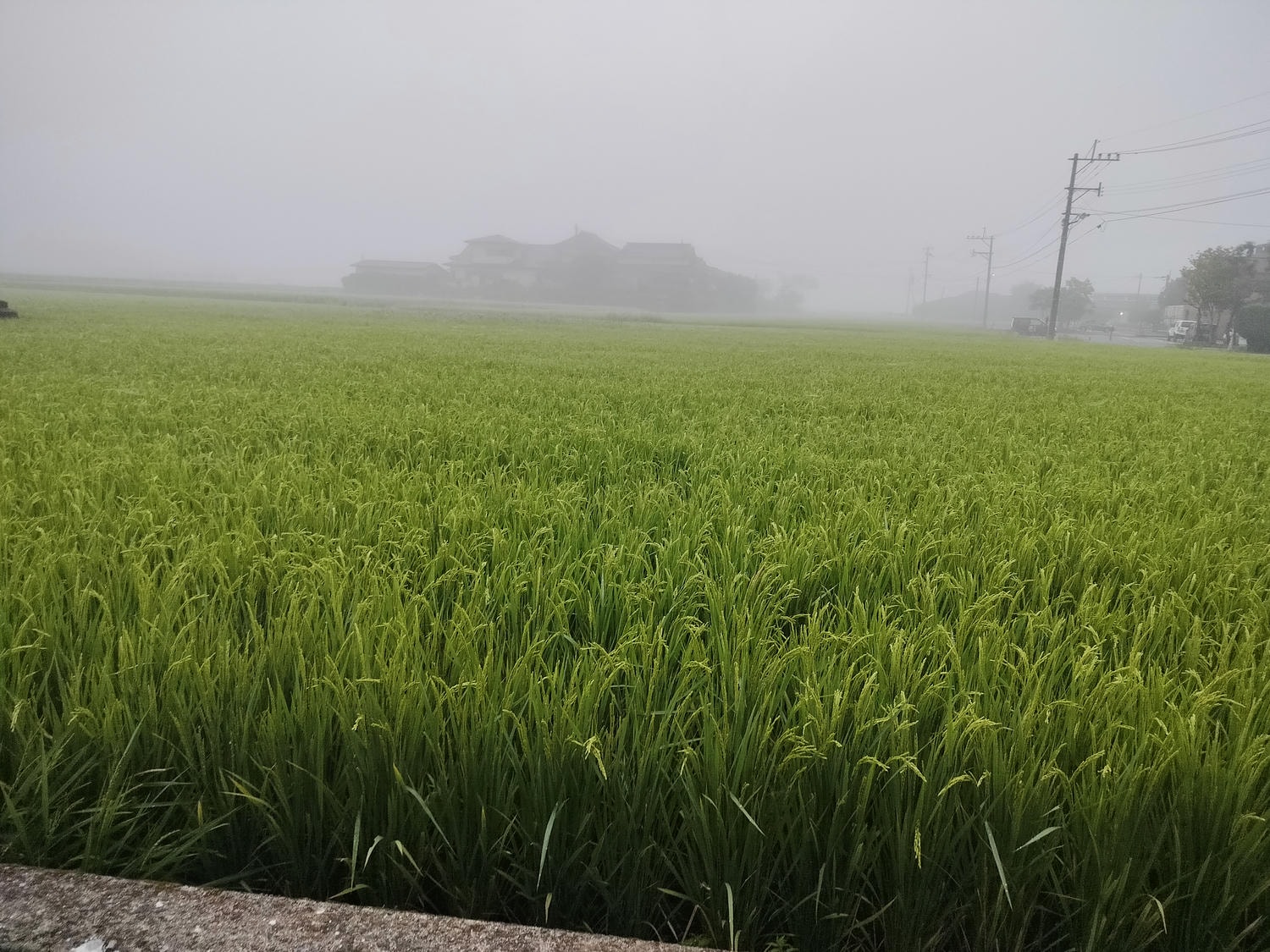 熊本體驗阿蘇┃阿蘇自然樂園清晨搭熱汽球一望阿蘇 專業老師帶騎馬エル・パティオ牧場 大自然體驗