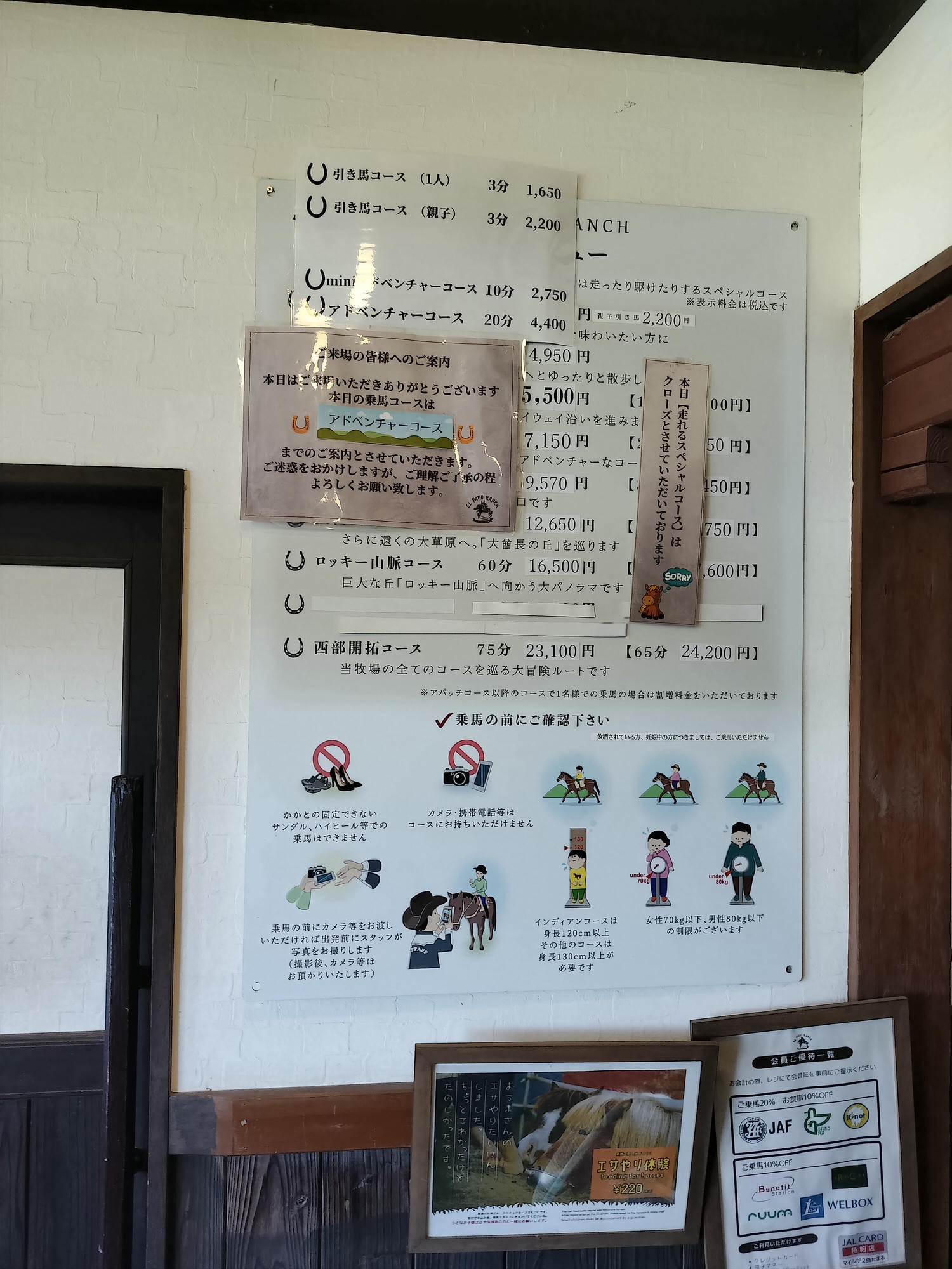 熊本體驗阿蘇┃阿蘇自然樂園清晨搭熱汽球一望阿蘇 專業老師帶騎馬エル・パティオ牧場 大自然體驗