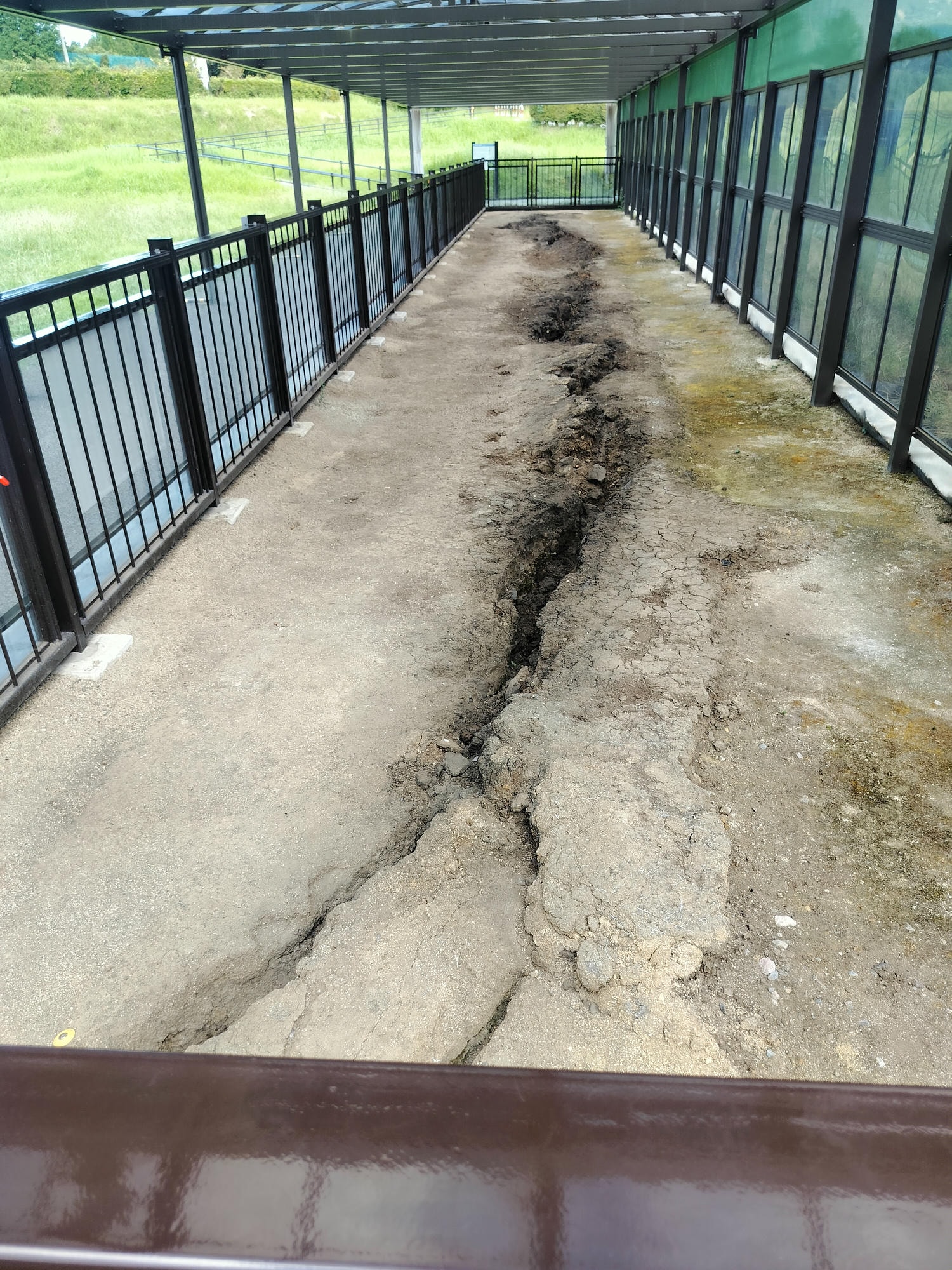 熊本景點南阿蘇┃震災博物館-東海大學阿蘇校區舊1號館 震災遺跡防災意識 航海王-羅賓銅像(熊本地震震災ミュージアム)