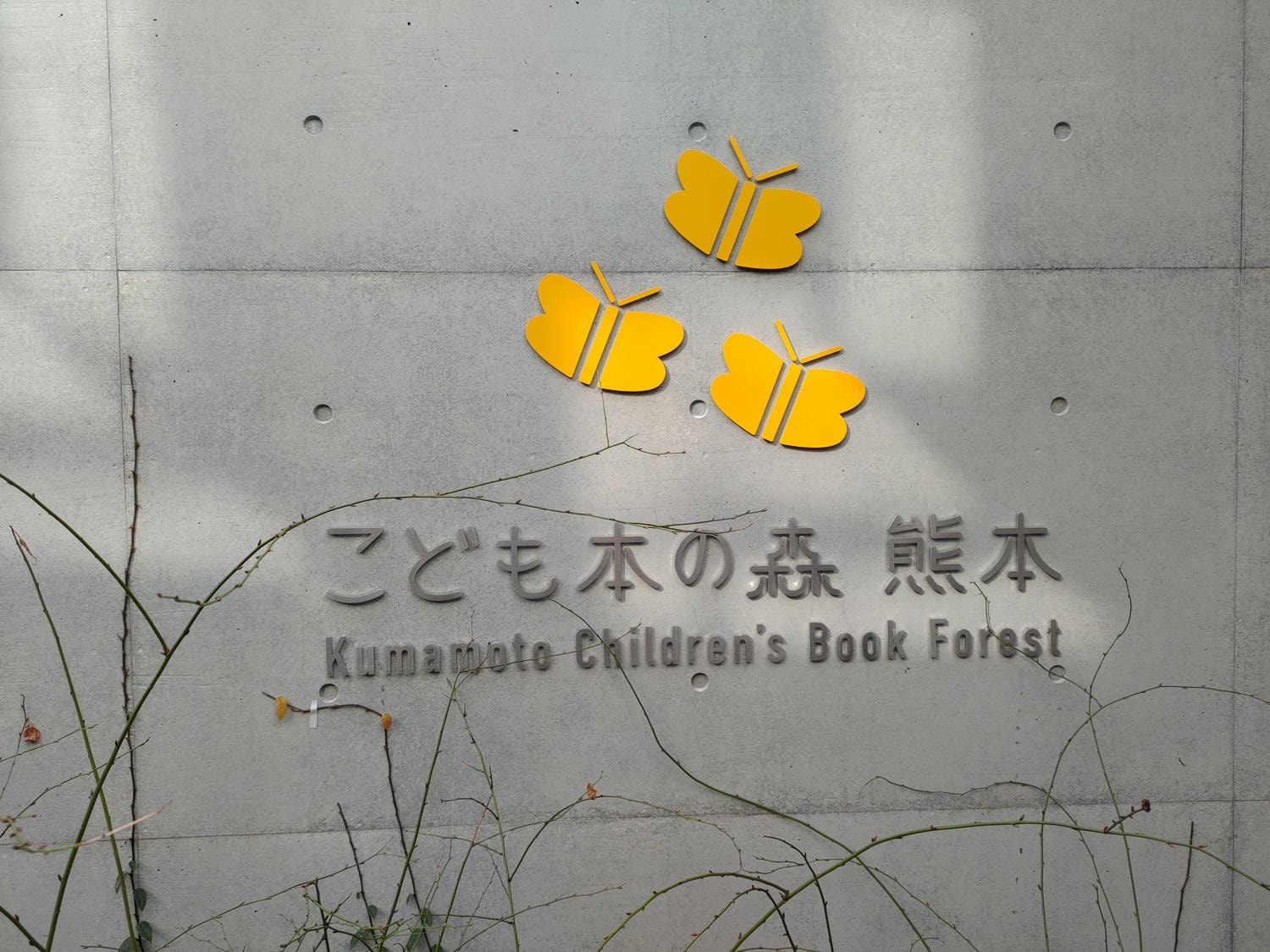 熊本景點┃2024開館 安藤忠雄設計捐贈「熊本兒童圖書森林」地震復興 熊本市路面電車步行5分 滿滿熊本元素直飛熊本