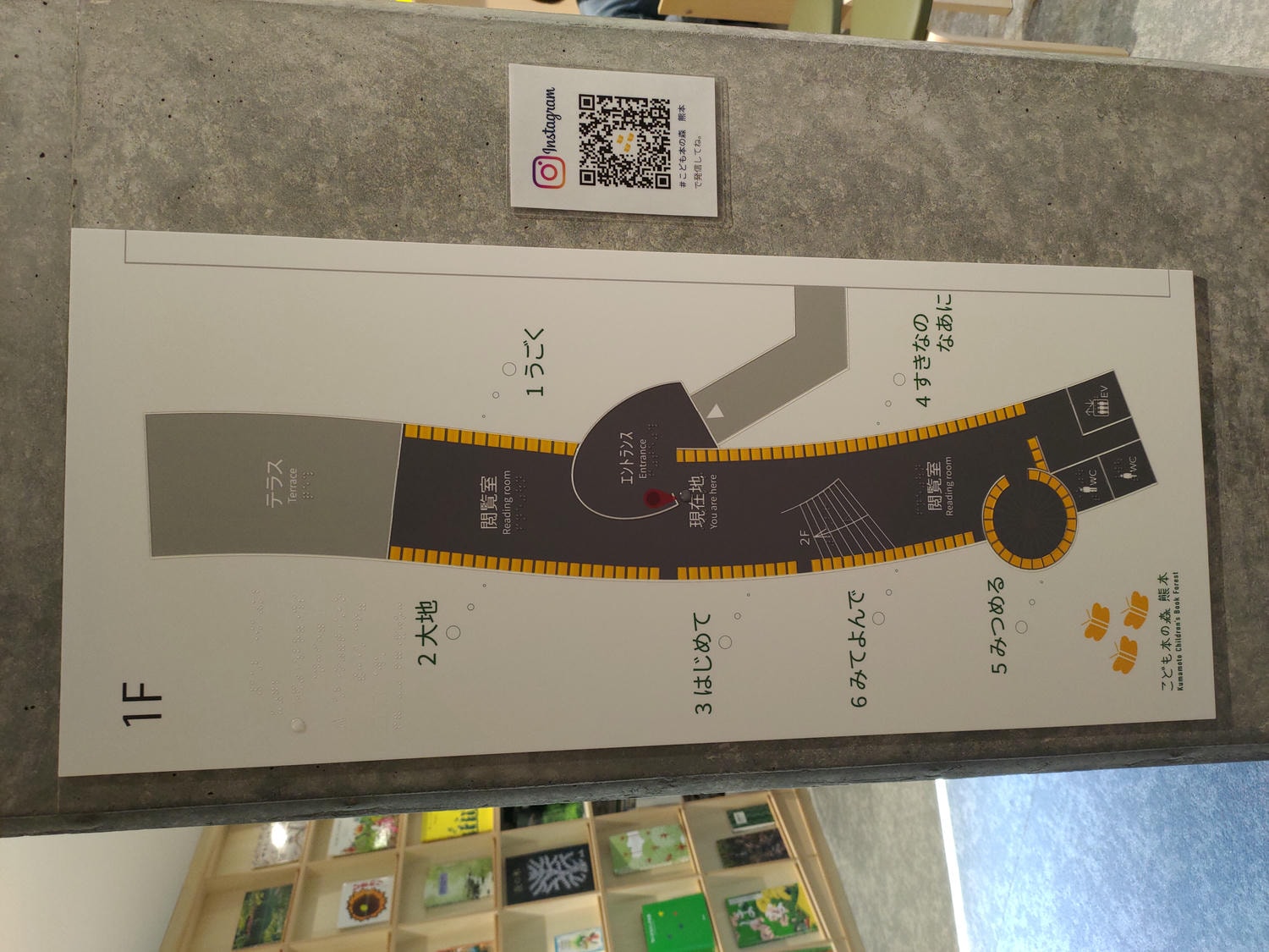 熊本景點┃2024開館 安藤忠雄設計捐贈「熊本兒童圖書森林」地震復興 熊本市路面電車步行5分 滿滿熊本元素直飛熊本