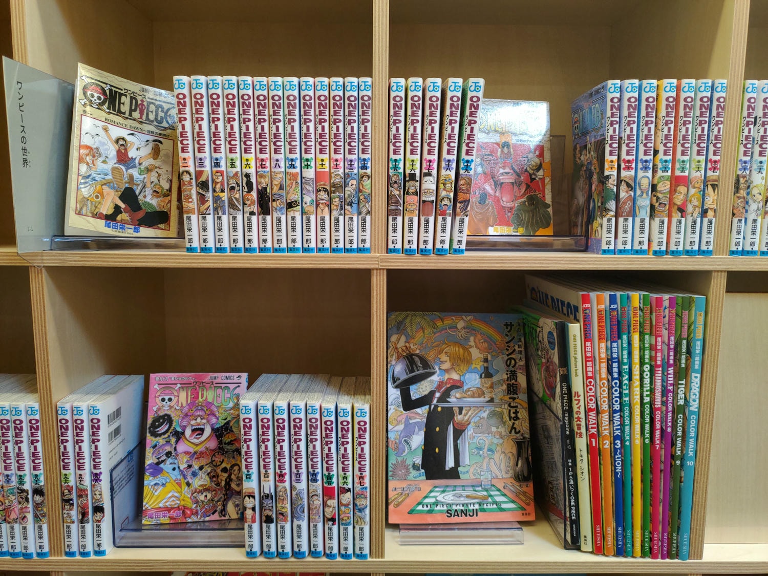 熊本景點┃2024開館 安藤忠雄設計捐贈「熊本兒童圖書森林」地震復興 熊本市路面電車步行5分 滿滿熊本元素直飛熊本