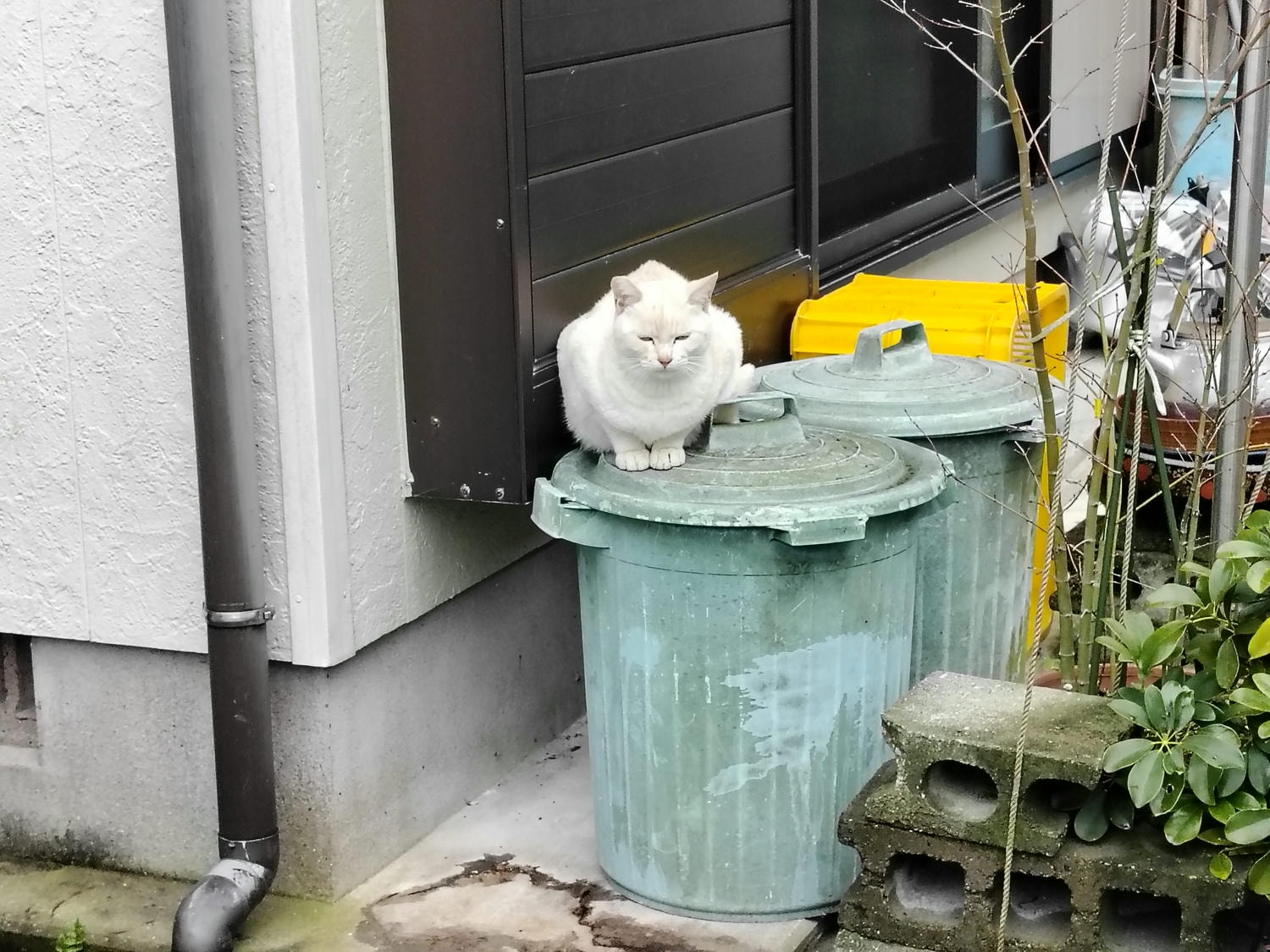 熊本天草景點┃世界文化遺產「天草崎津集落」散策 漁村獨特信仰 禁教基督徒 天草自由行 夕陽瑪利亞