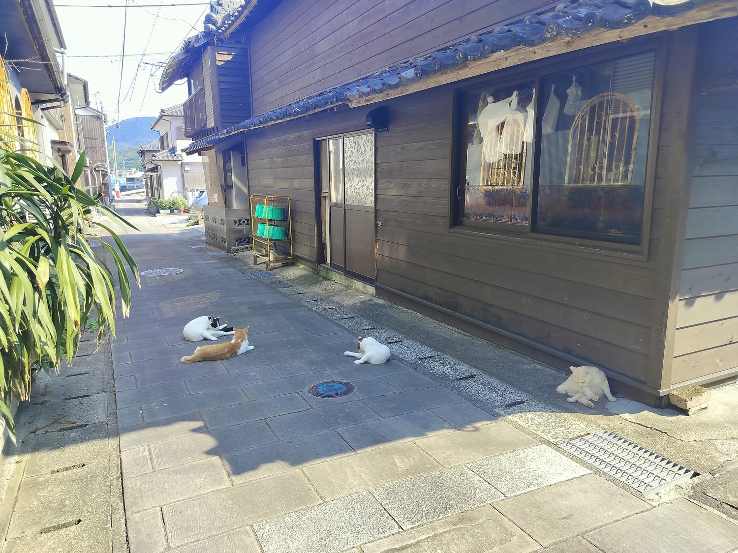 熊本天草景點┃世界文化遺產「天草崎津集落」散策 漁村獨特信仰 禁教基督徒 天草自由行 夕陽瑪利亞