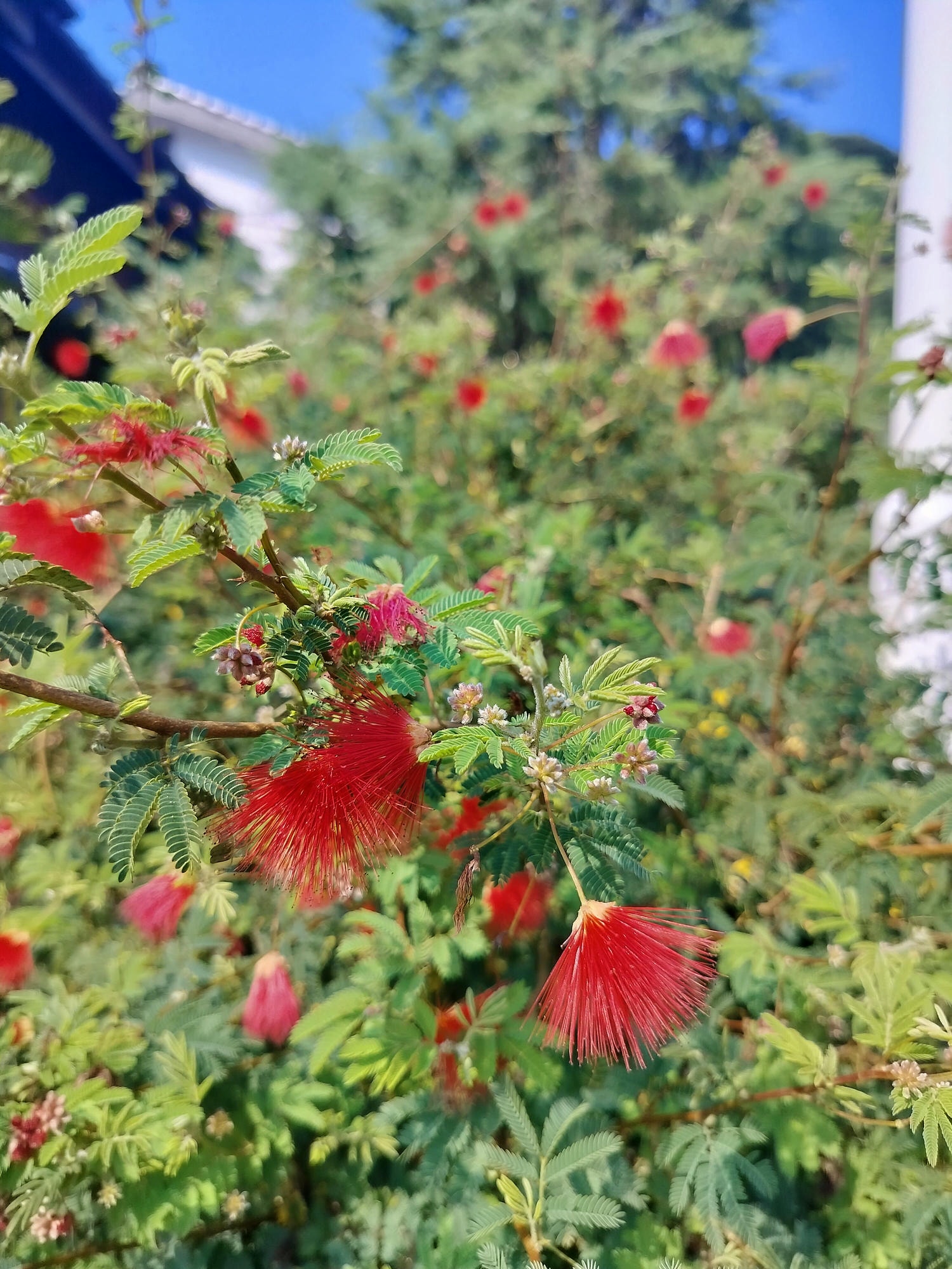 熊本天草景點┃世界文化遺產「天草崎津集落」散策 漁村獨特信仰 禁教基督徒 天草自由行 夕陽瑪利亞