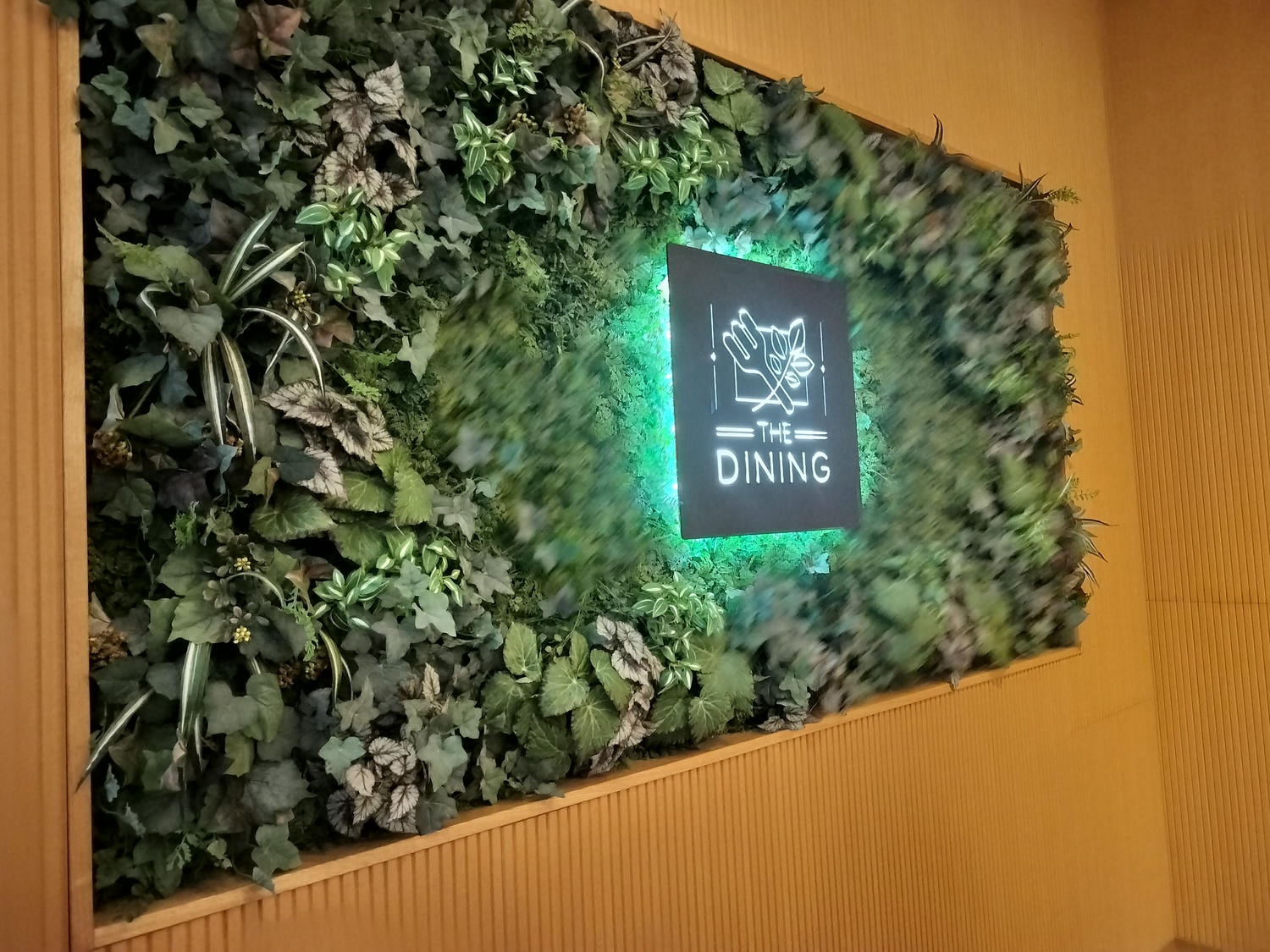 近畿三重旅遊┃親子最愛!!夢想的賽車牆面「主題鈴鹿賽車場飯店」直通賽車場樂園 天然溫泉自助早晚餐超豐富 免費停車