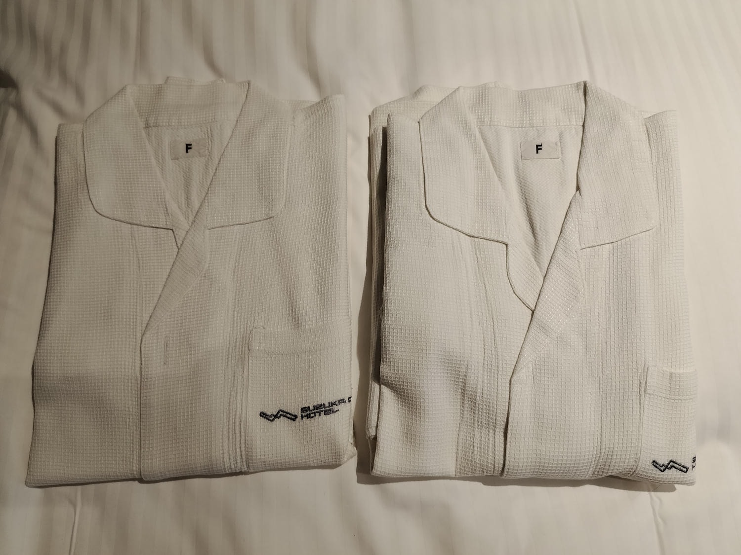 近畿三重旅遊┃親子最愛!!夢想的賽車牆面「主題鈴鹿賽車場飯店」直通賽車場樂園 天然溫泉自助早晚餐超豐富 免費停車