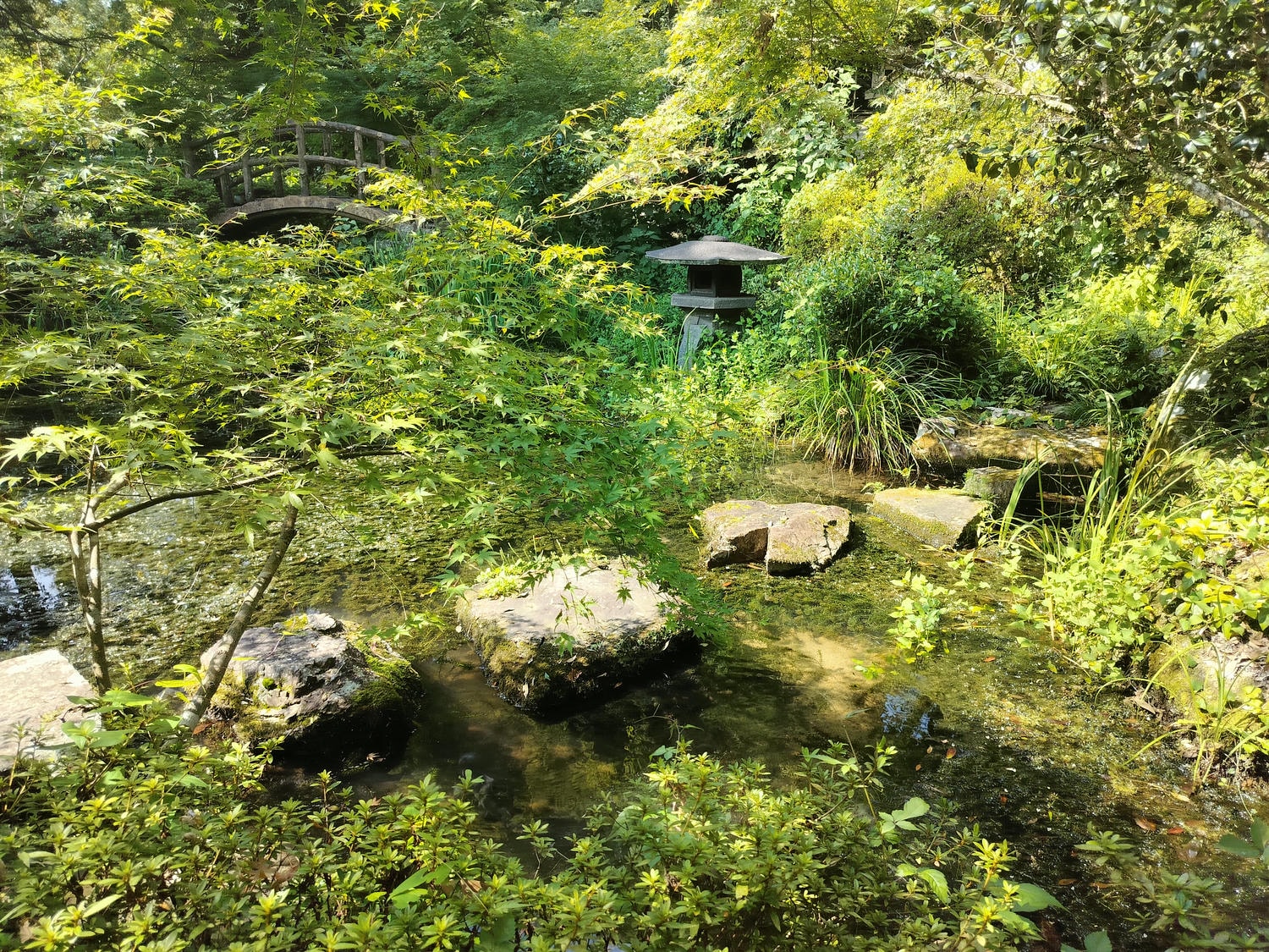 熊本餐廳┃山鹿市日輪寺「とき処 南無ナーム」精進料理食材細膩用心 座落池塘上 熊本素食 熊本自由行 - 第3張圖 熊本餐廳┃山鹿市日輪寺「とき処 南無ナーム」精進料理食材細膩用心 座落池塘上 熊本素食 熊本自由行