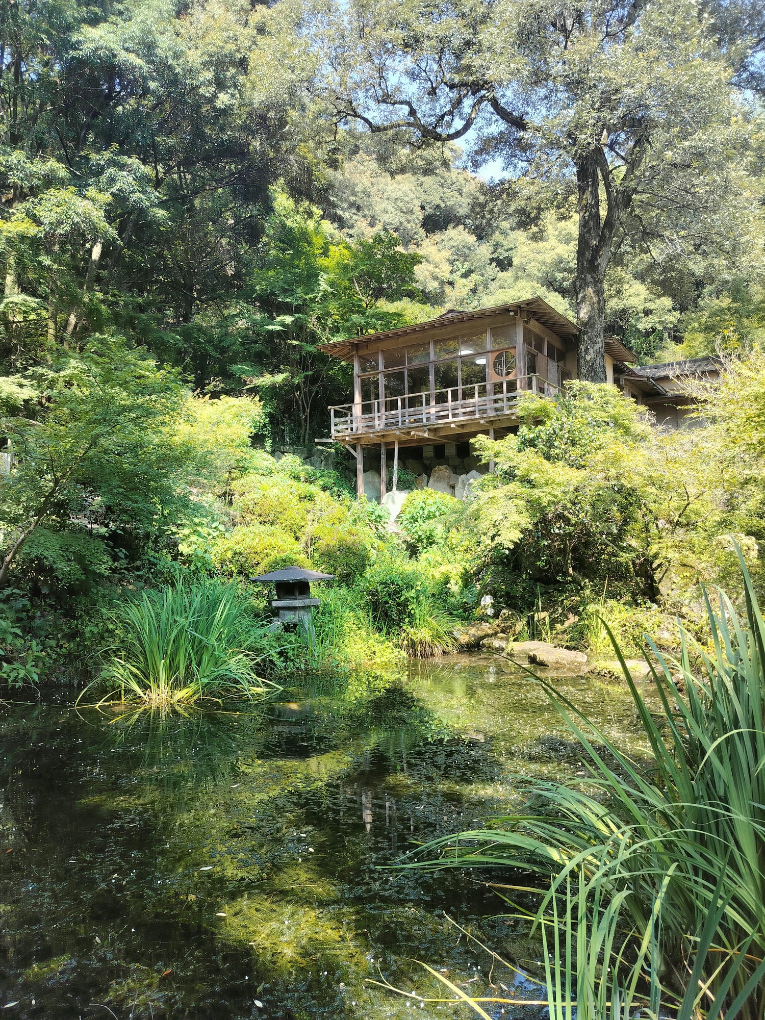 熊本餐廳┃山鹿市日輪寺「とき処 南無ナーム」精進料理食材細膩用心 座落池塘上 熊本素食 熊本自由行 - 第21張圖 熊本餐廳┃山鹿市日輪寺「とき処 南無ナーム」精進料理食材細膩用心 座落池塘上 熊本素食 熊本自由行