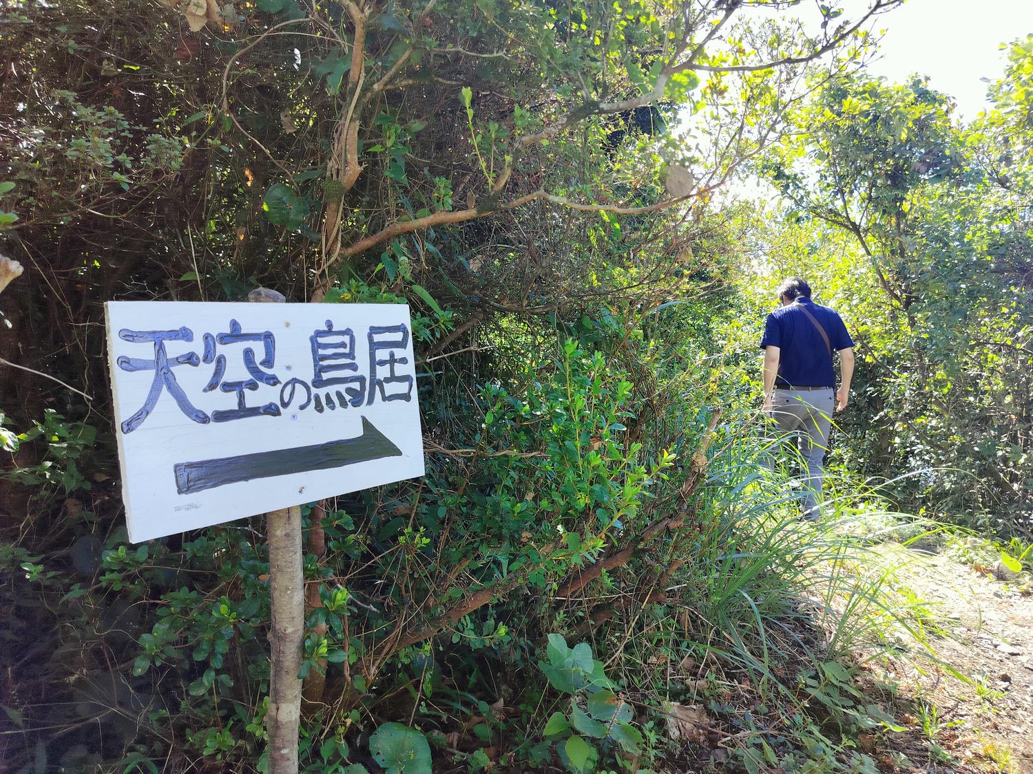 熊本天草景點┃天草倉岳神社 站上682米天空鳥居 鳥居天空一線絕景 天草自由行 天草自駕 天草打卡