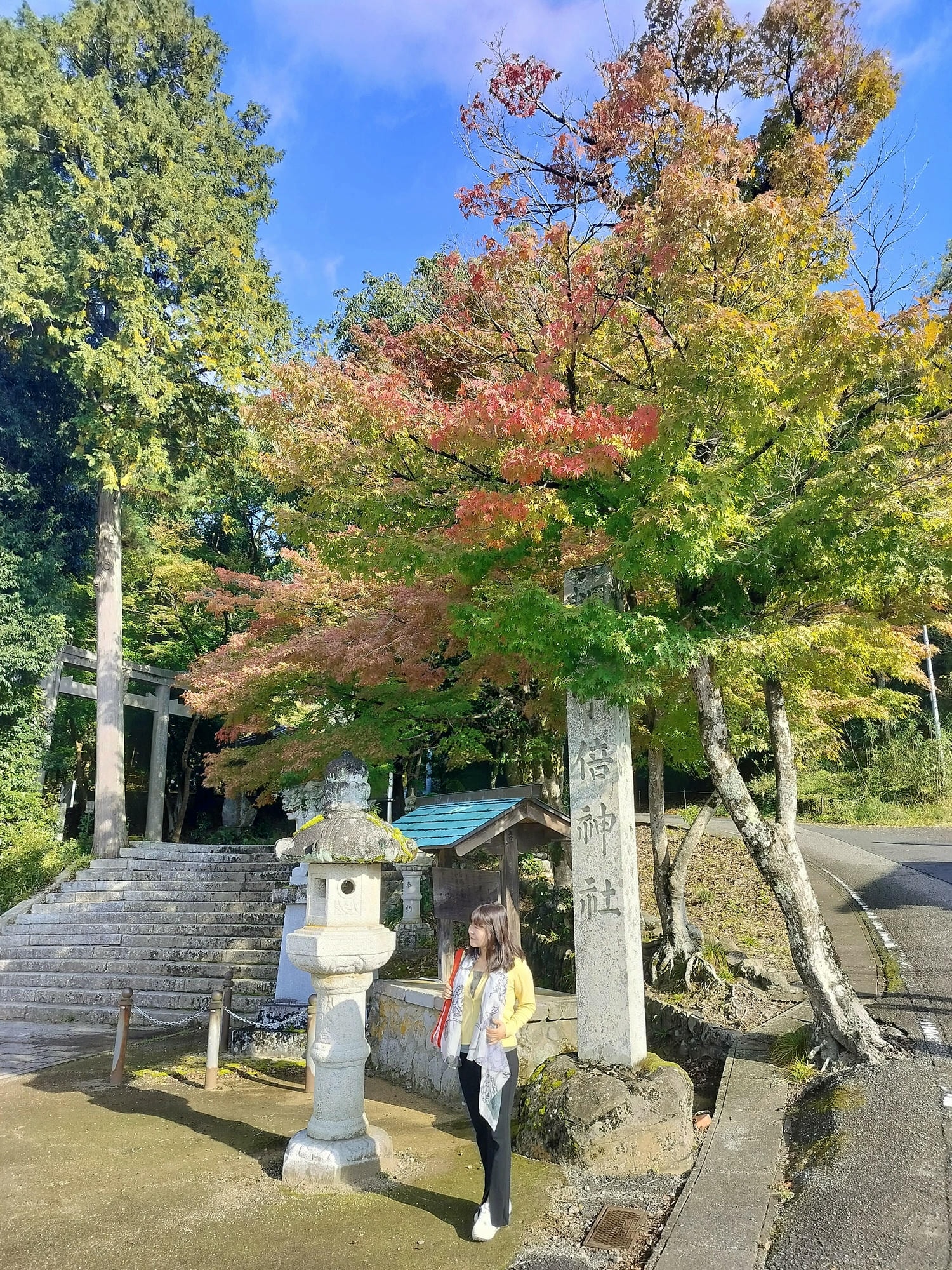 鳥取景點┃楓紅「宇倍神社」日本最早登上紙鈔的神社 生意興隆財運、八頭町「仁王堂大銀杏」600年樹齡 - 第2張圖 鳥取景點┃楓紅「宇倍神社」日本最早登上紙鈔的神社 生意興隆財運、八頭町「仁王堂大銀杏」600年樹齡