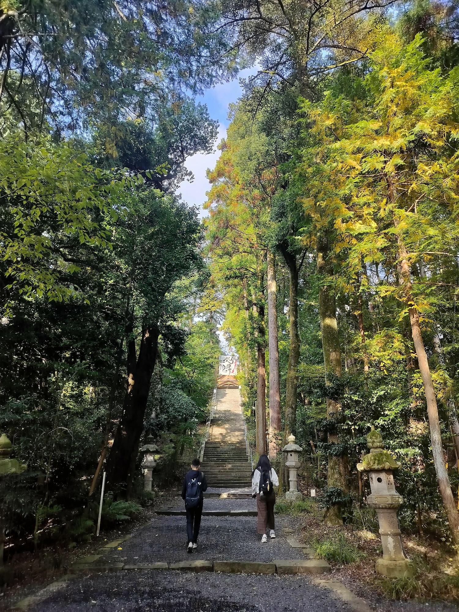 鳥取景點┃楓紅「宇倍神社」日本最早登上紙鈔的神社 生意興隆財運、八頭町「仁王堂大銀杏」600年樹齡 - 第4張圖 鳥取景點┃楓紅「宇倍神社」日本最早登上紙鈔的神社 生意興隆財運、八頭町「仁王堂大銀杏」600年樹齡