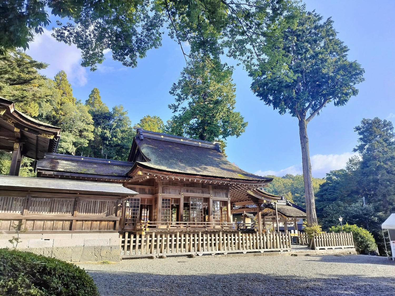 鳥取景點┃楓紅「宇倍神社」日本最早登上紙鈔的神社 生意興隆財運、八頭町「仁王堂大銀杏」600年樹齡 - 第6張圖 鳥取景點┃楓紅「宇倍神社」日本最早登上紙鈔的神社 生意興隆財運、八頭町「仁王堂大銀杏」600年樹齡