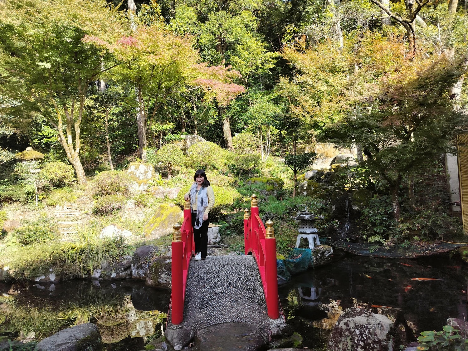 鳥取景點┃楓紅「宇倍神社」日本最早登上紙鈔的神社 生意興隆財運、八頭町「仁王堂大銀杏」600年樹齡 - 第10張圖 鳥取景點┃楓紅「宇倍神社」日本最早登上紙鈔的神社 生意興隆財運、八頭町「仁王堂大銀杏」600年樹齡