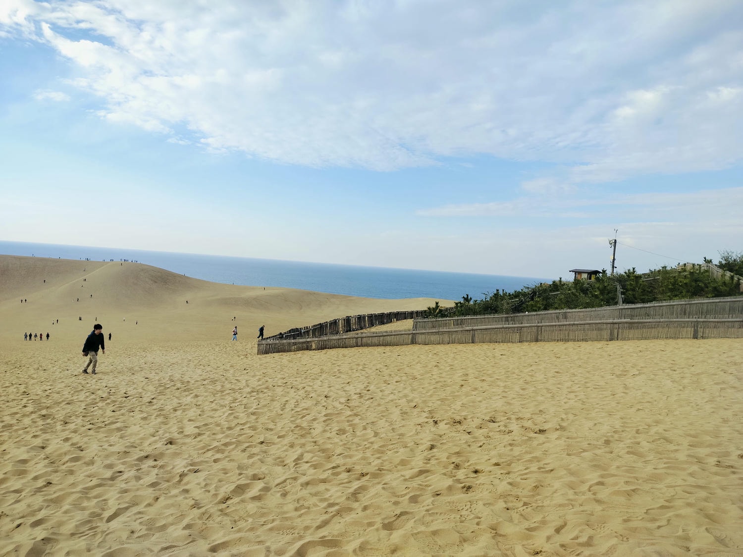鳥取景點┃舊地重遊鳥取砂丘 法國篇砂丘美術館 徐徐如生神韻 鳥取必排景點 鳥取自由行 鳥取計程車