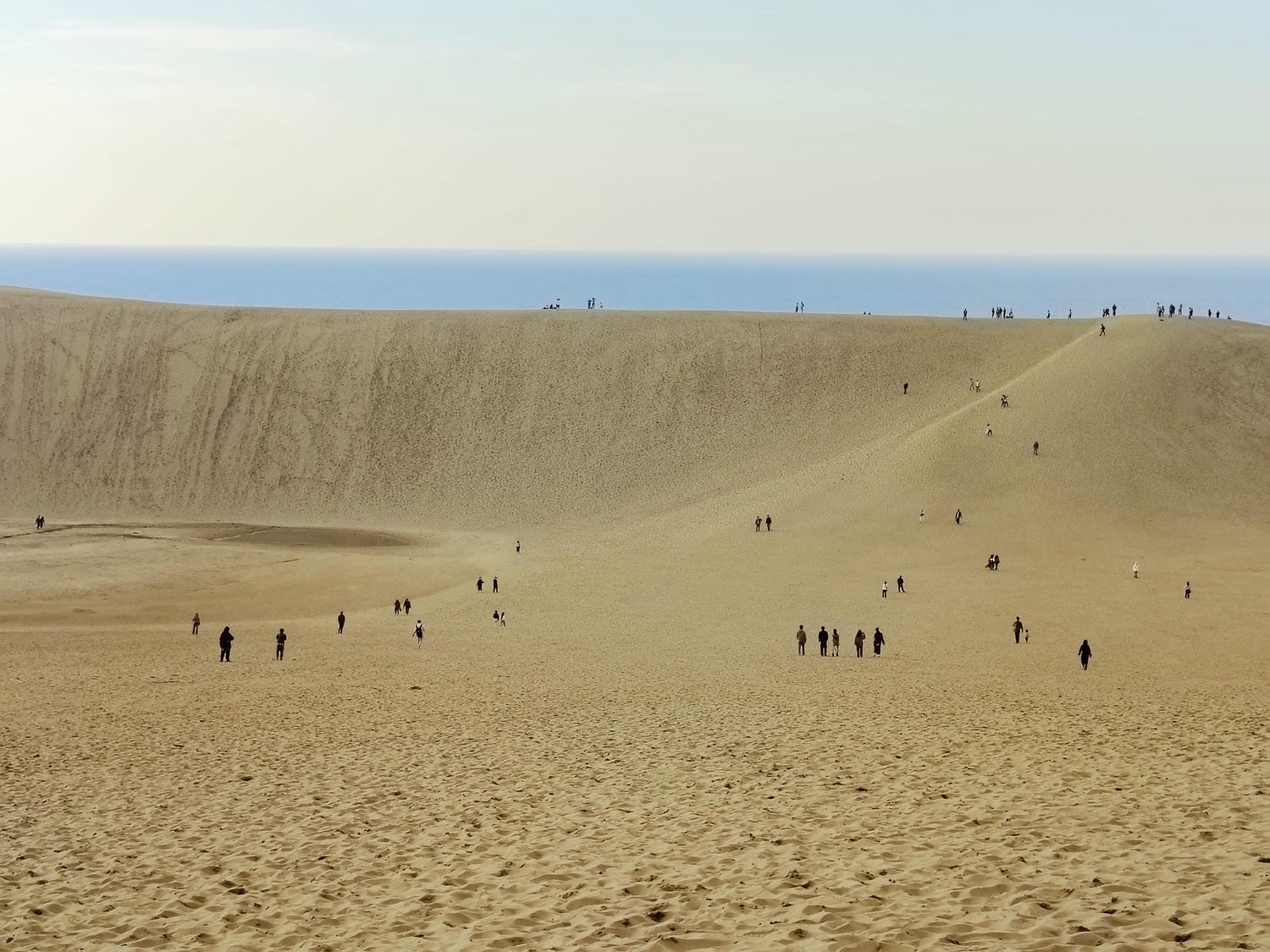 鳥取景點┃舊地重遊鳥取砂丘 法國篇砂丘美術館 徐徐如生神韻 鳥取必排景點 鳥取自由行 鳥取計程車
