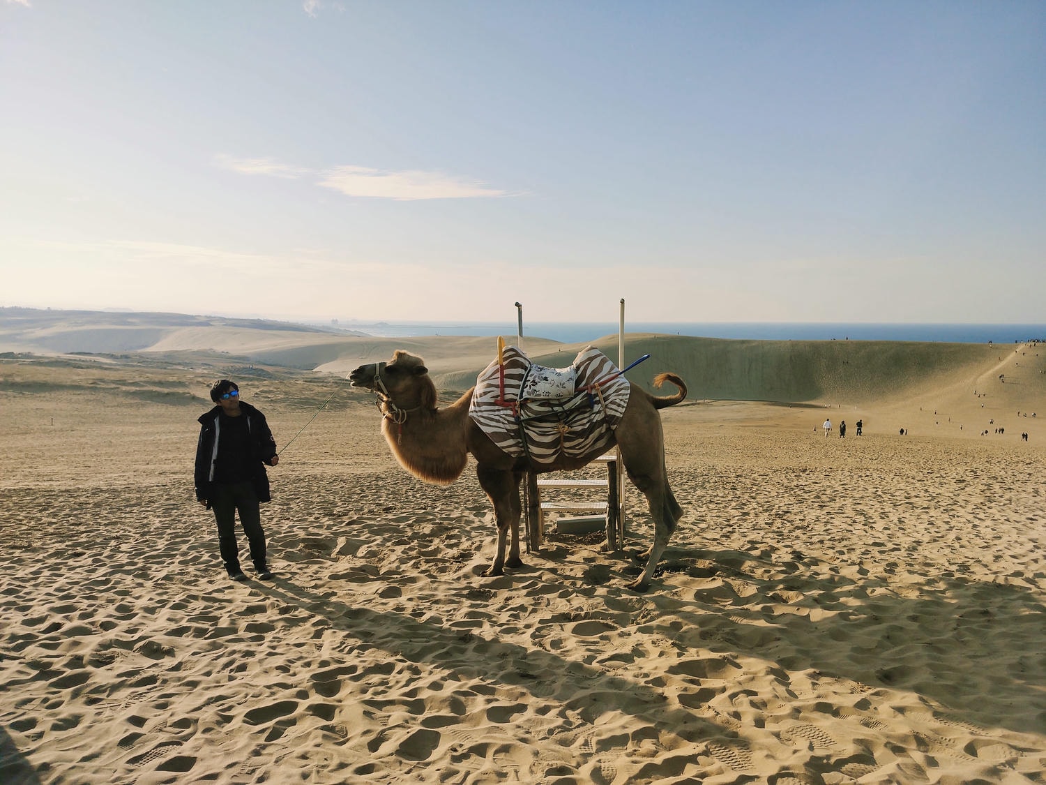 鳥取景點┃舊地重遊鳥取砂丘 法國篇砂丘美術館 徐徐如生神韻 鳥取必排景點 鳥取自由行 鳥取計程車