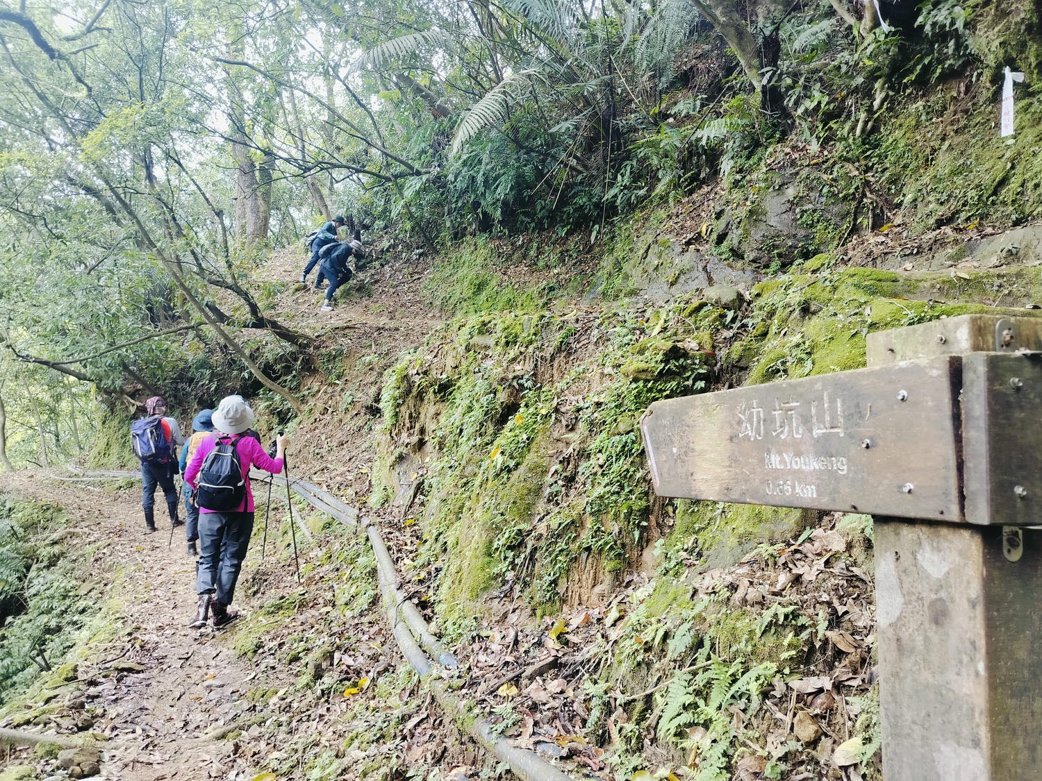 平溪線古道┃鐵道旅行 三貂嶺走到大華幼坑古道 近距離拍平溪線火車 雙腳感受山林和鐵道 - 第10張圖 平溪線古道┃鐵道旅行 三貂嶺走到大華幼坑古道 近距離拍平溪線火車 雙腳感受山林和鐵道