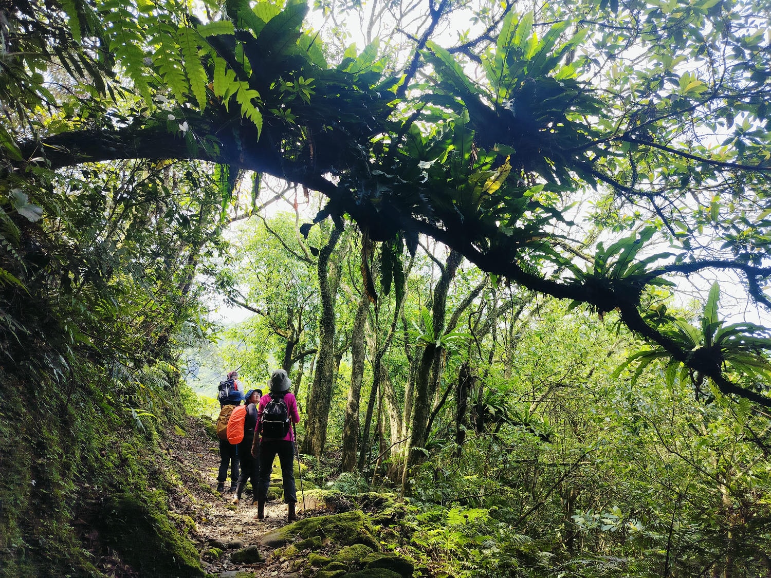 基隆市┃海科館旁「潮境公園」飛天掃帚 巨石相框 海景超美 露天咖啡炸物 洗手間停車場 - 第30張圖 基隆市┃海科館旁「潮境公園」飛天掃帚 巨石相框 海景超美 露天咖啡炸物 洗手間停車場