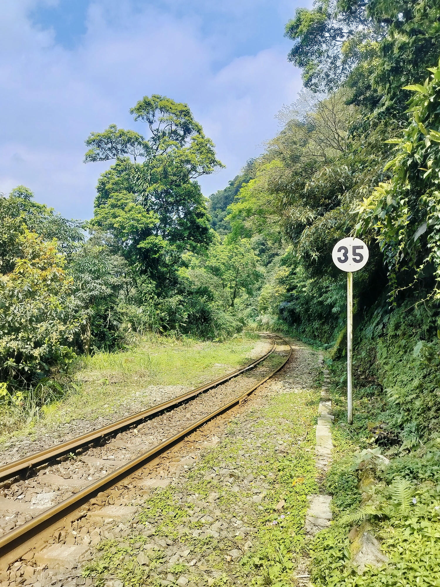 平溪線古道┃鐵道旅行 三貂嶺走到大華幼坑古道 近距離拍平溪線火車 雙腳感受山林和鐵道 - 第14張圖 平溪線古道┃鐵道旅行 三貂嶺走到大華幼坑古道 近距離拍平溪線火車 雙腳感受山林和鐵道