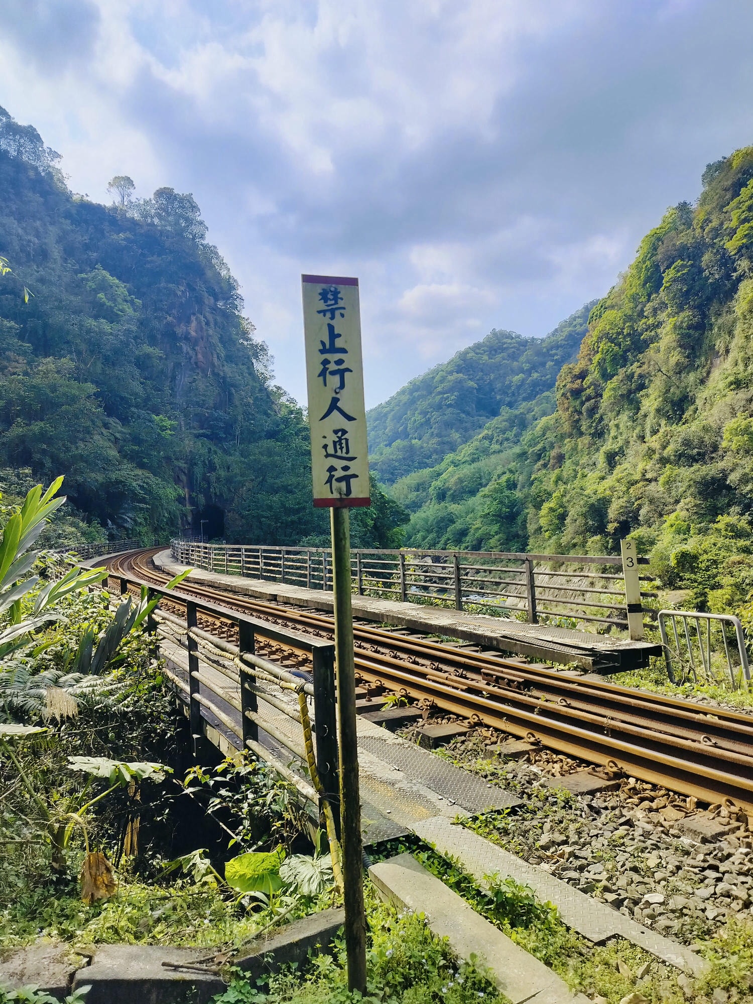 平溪線古道┃鐵道旅行 三貂嶺走到大華幼坑古道 近距離拍平溪線火車 雙腳感受山林和鐵道 - 第15張圖 平溪線古道┃鐵道旅行 三貂嶺走到大華幼坑古道 近距離拍平溪線火車 雙腳感受山林和鐵道