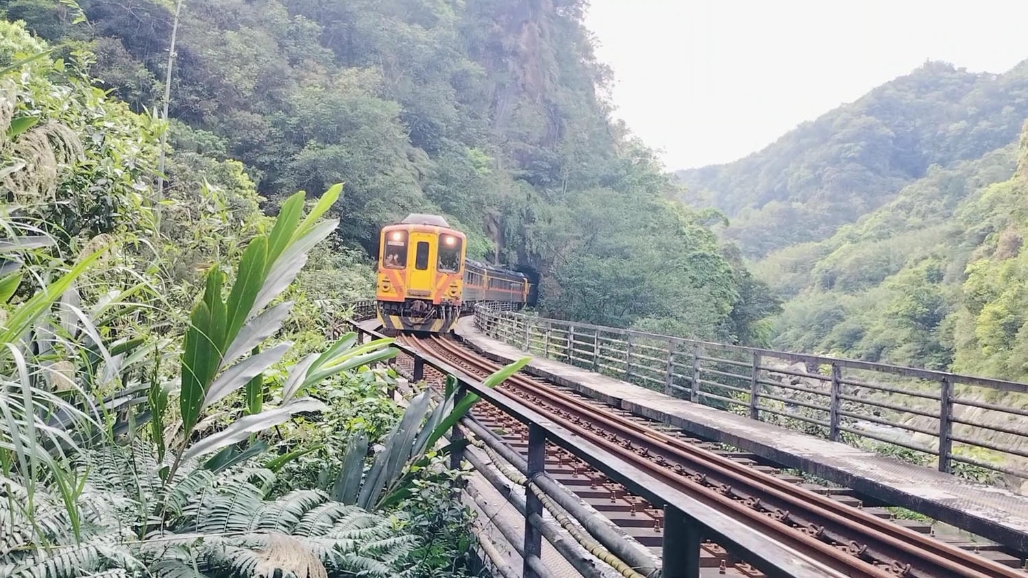 平溪線古道┃鐵道旅行 三貂嶺走到大華幼坑古道 近距離拍平溪線火車 雙腳感受山林和鐵道 - 第16張圖 平溪線古道┃鐵道旅行 三貂嶺走到大華幼坑古道 近距離拍平溪線火車 雙腳感受山林和鐵道